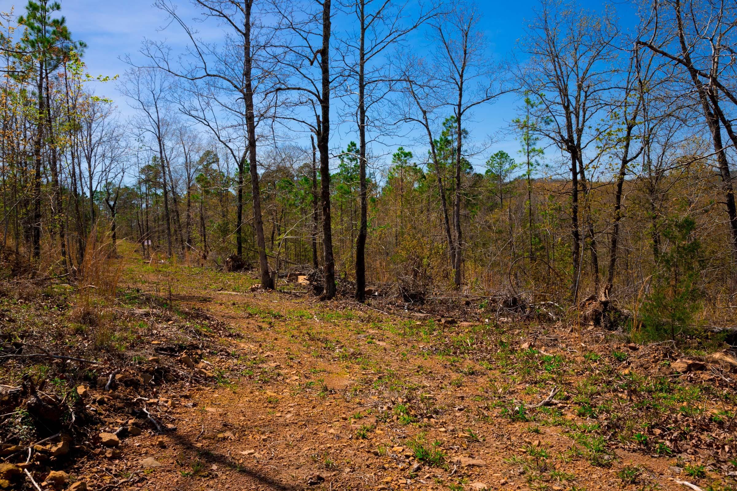 Stone Creek Phase II Tract 222 photo 10