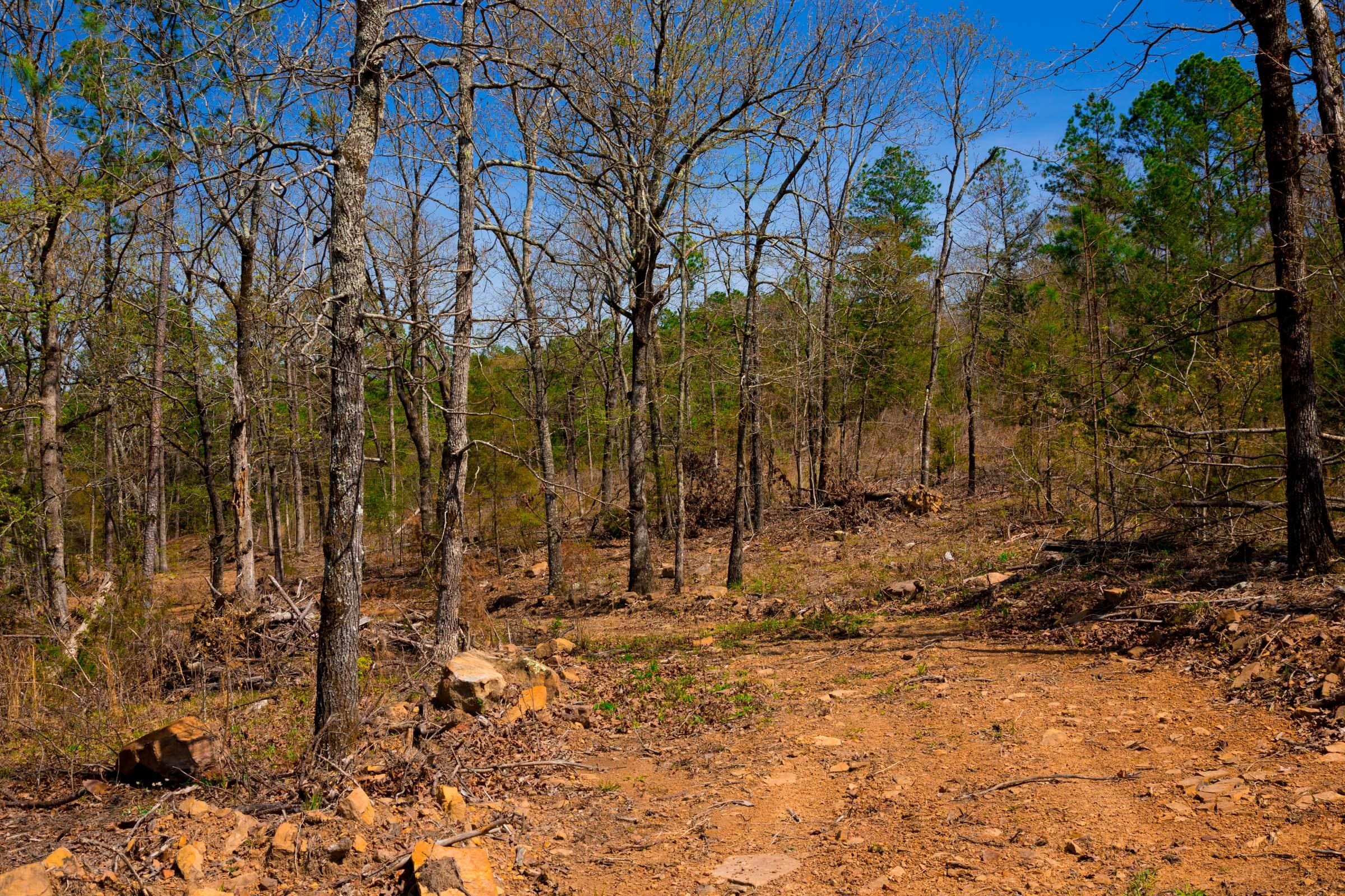 Stone Creek Phase II Tract 222 photo 11