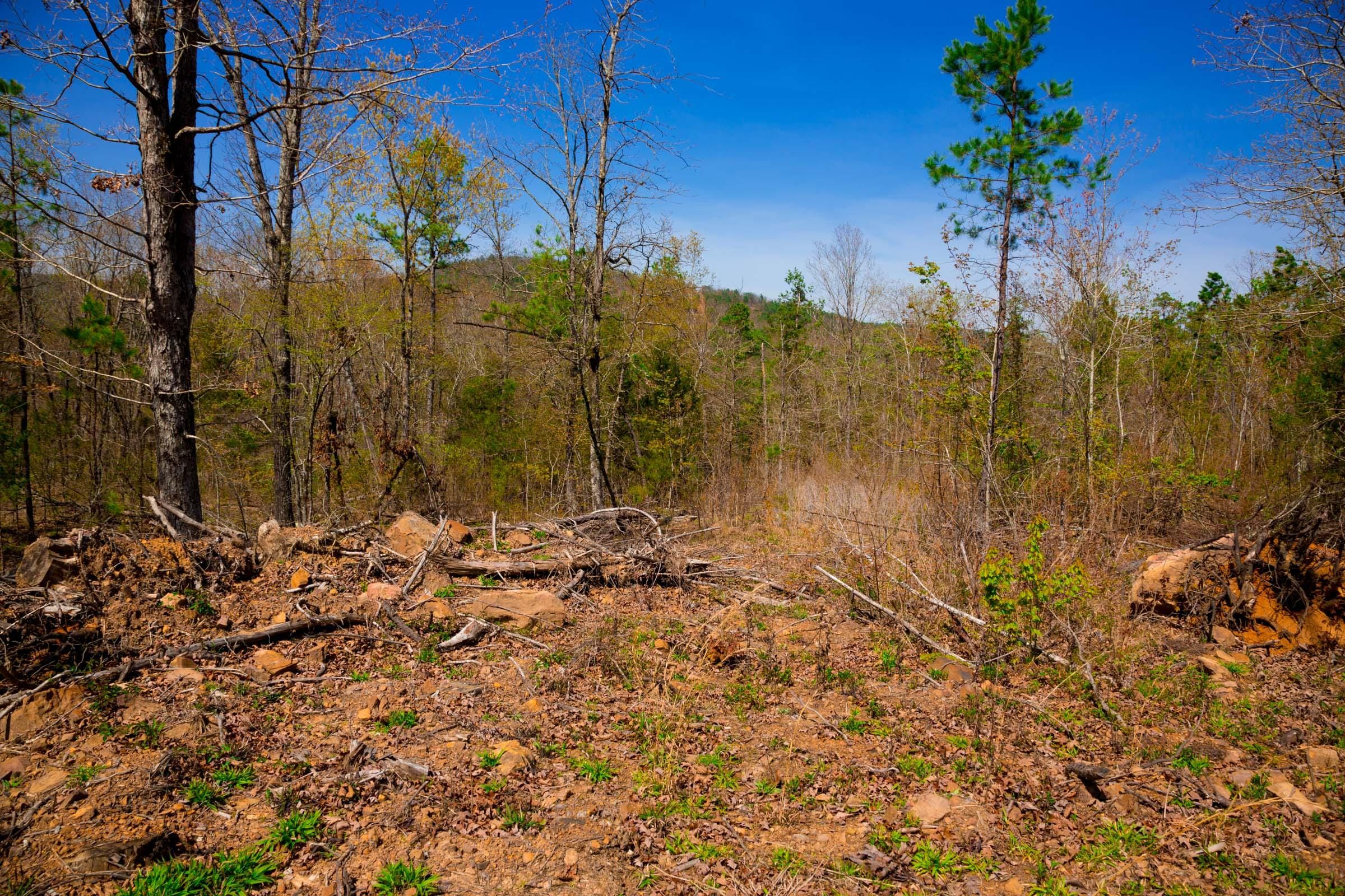 Stone Creek Phase II Tract 222 photo 12