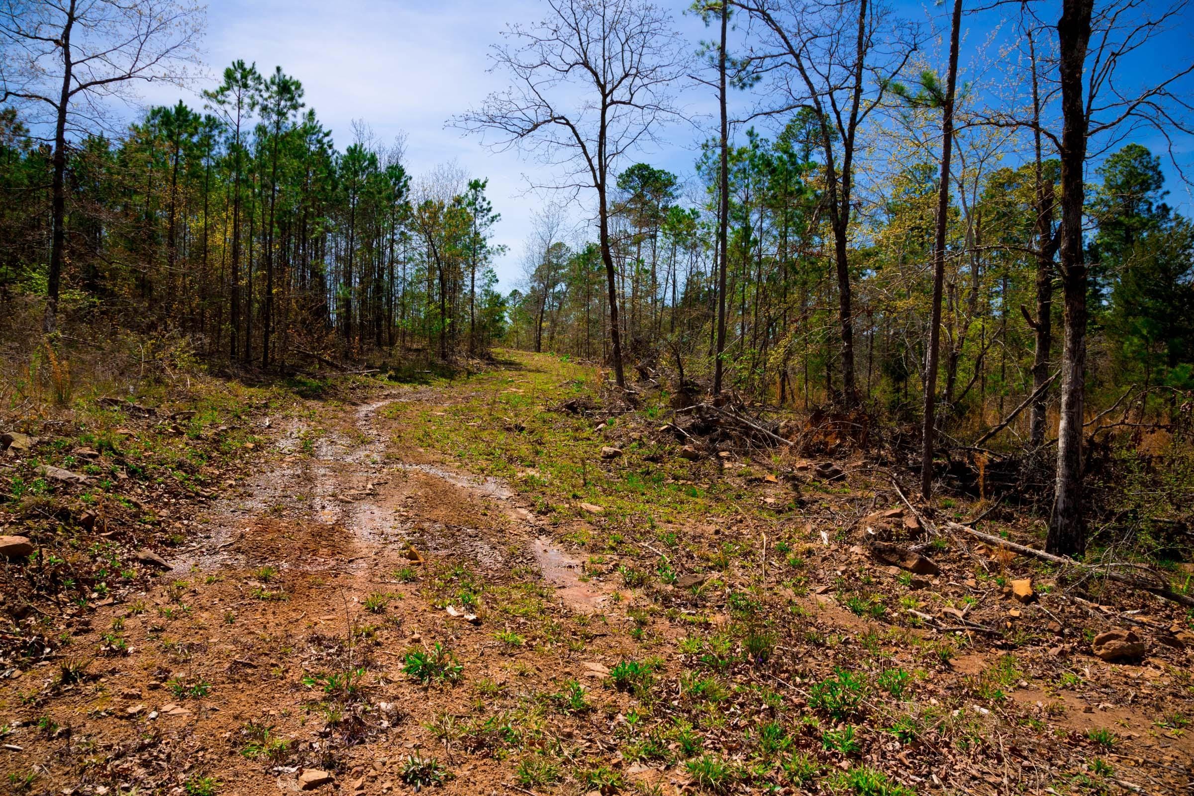 Stone Creek Phase II Tract 222 photo 2