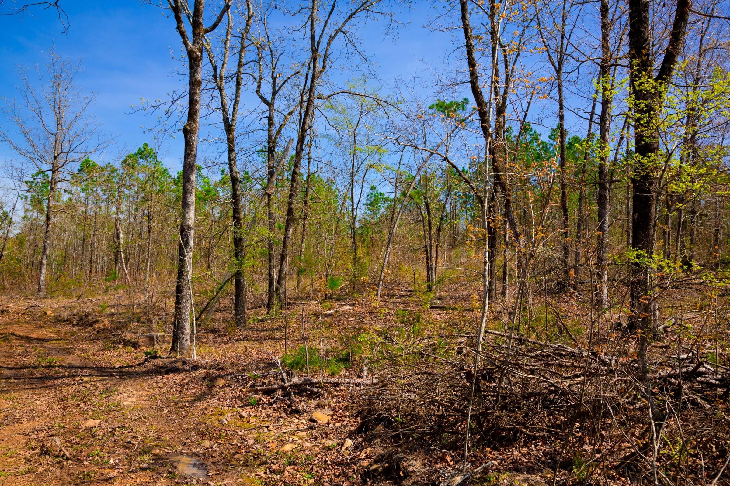 Stone Creek Phase II Tract 222 photo 13