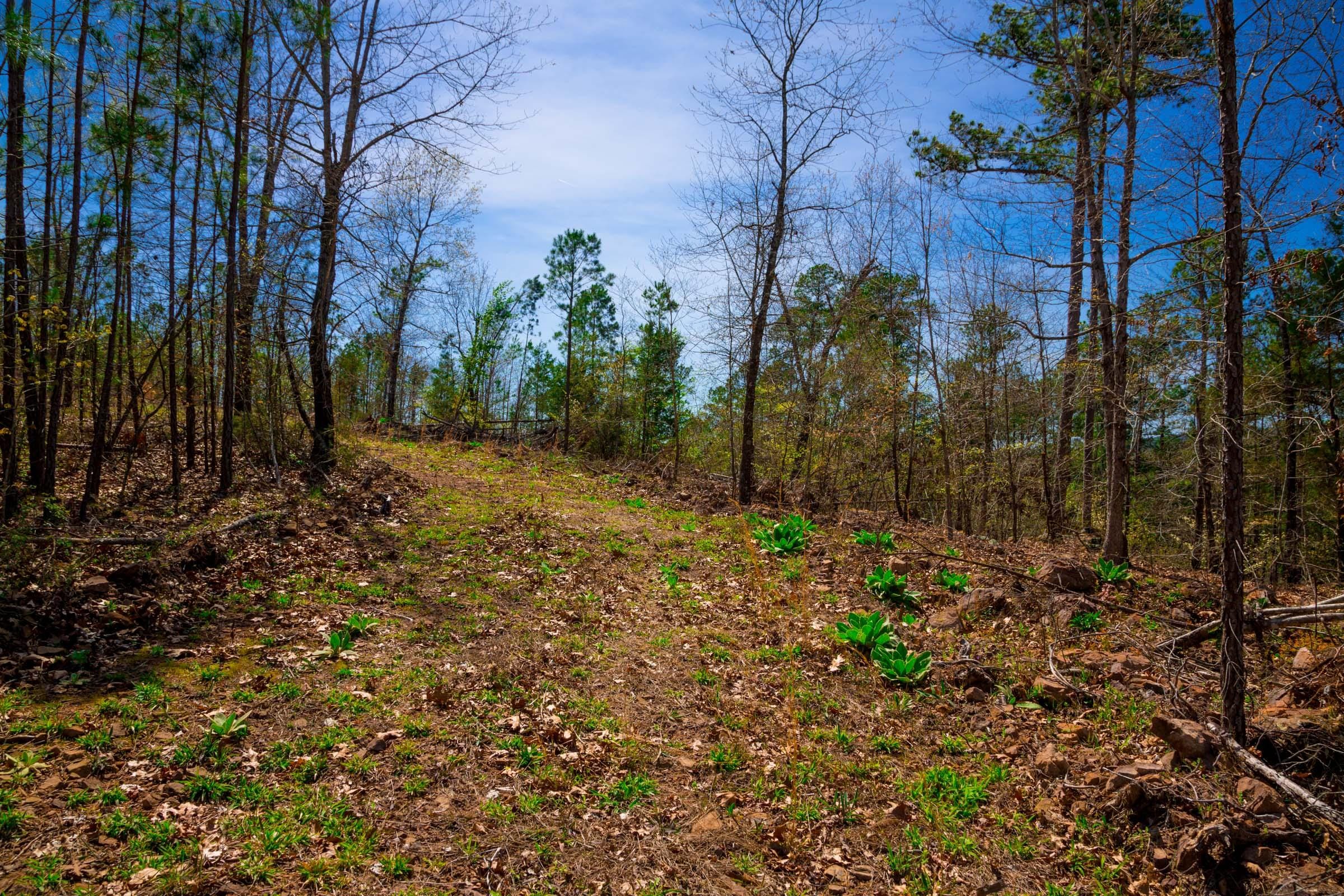Stone Creek Phase II Tract 222 photo 14