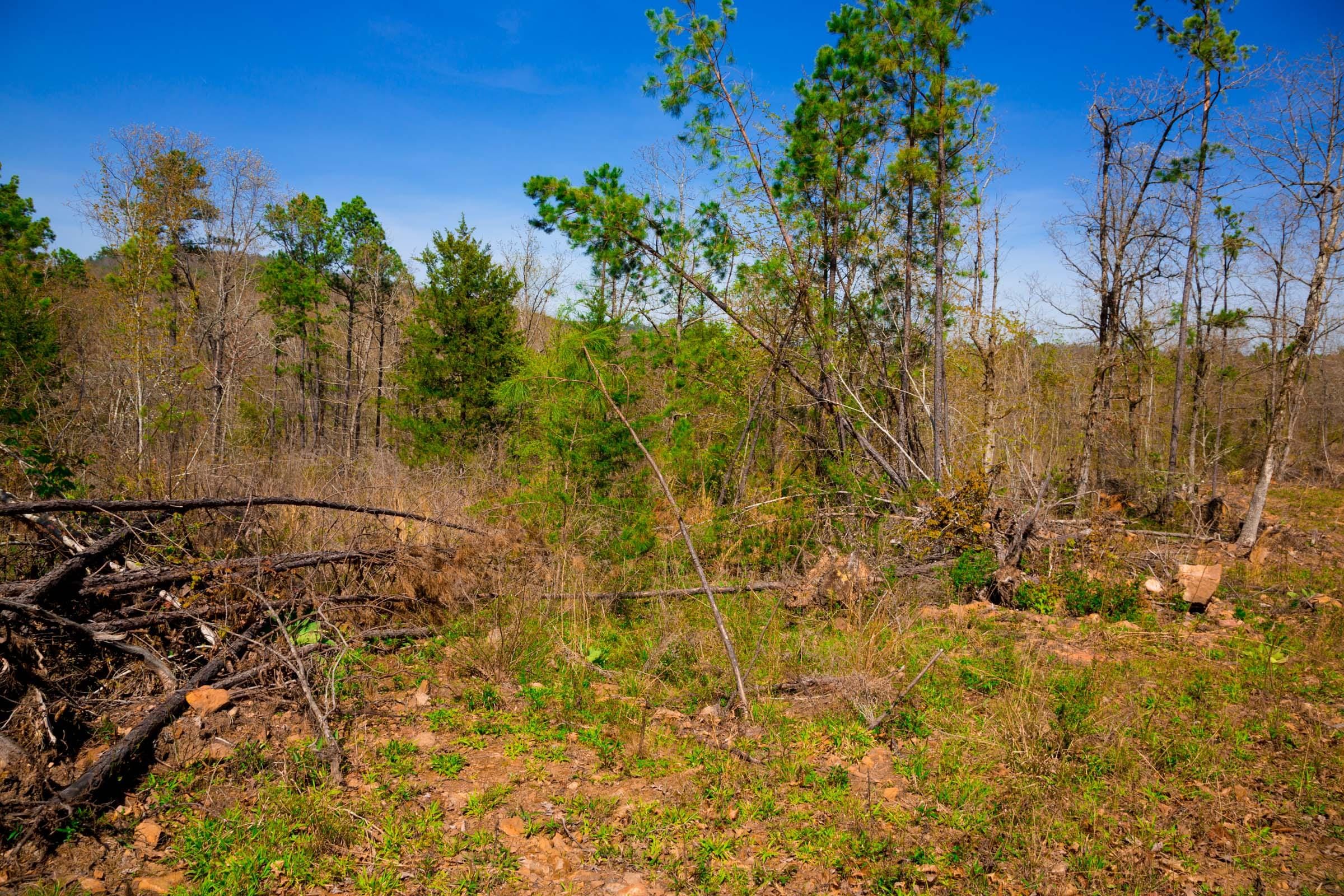 Stone Creek Phase II Tract 222 photo 15