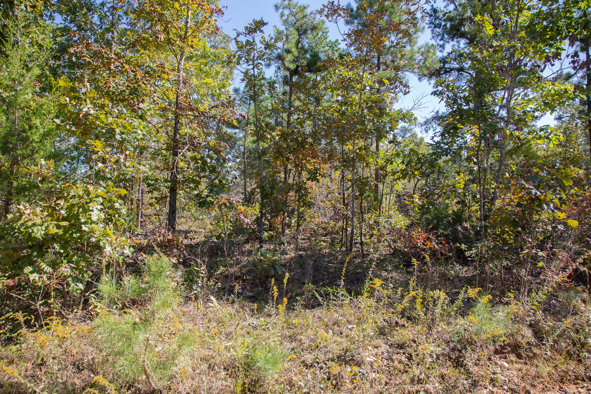 Borgmann’s Hollow Phase III Tract 97 photo 2