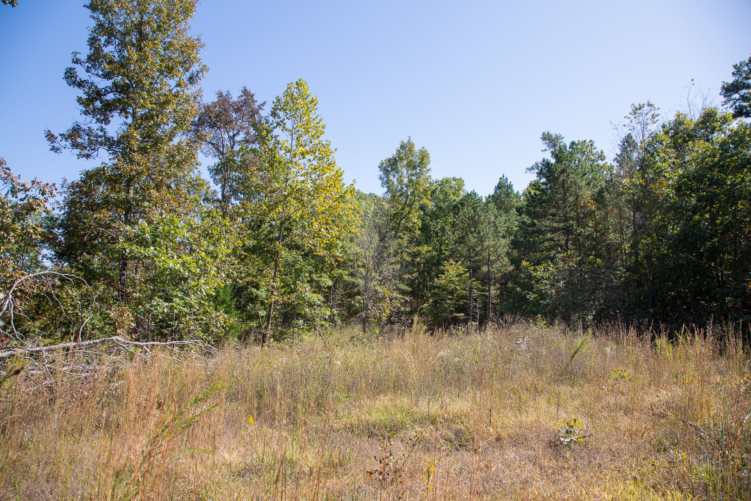 Borgmann’s Hollow Phase III Tract 97 photo 6