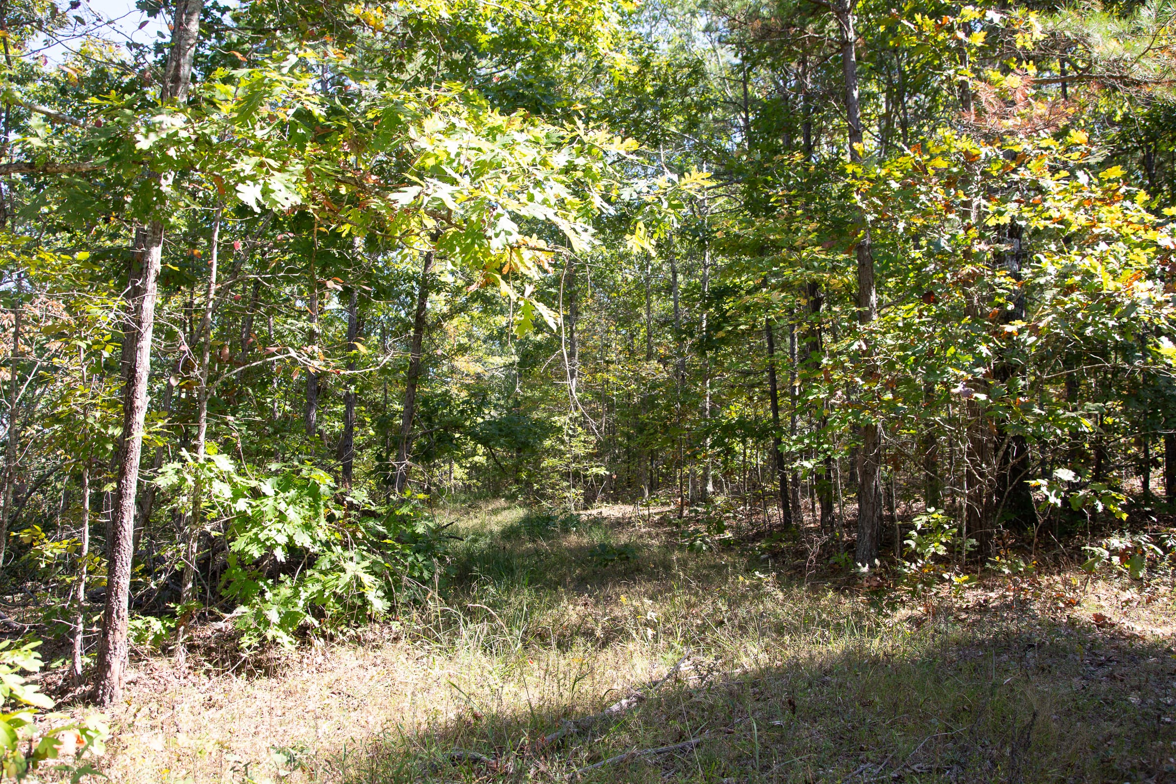 Borgmann’s Hollow Phase III Tract 97 photo 8