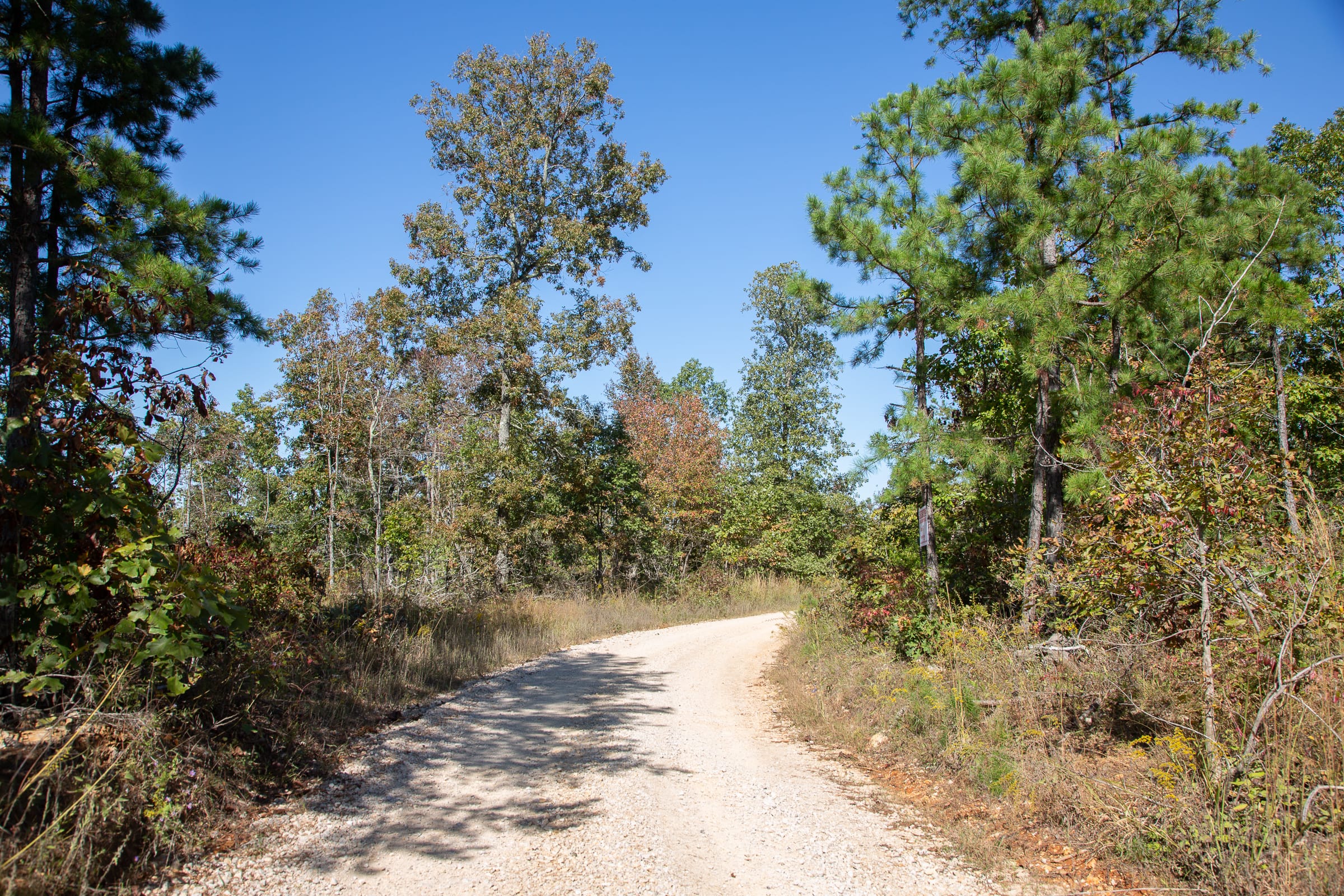 Borgmann’s Hollow Phase III Tract 97 photo 1