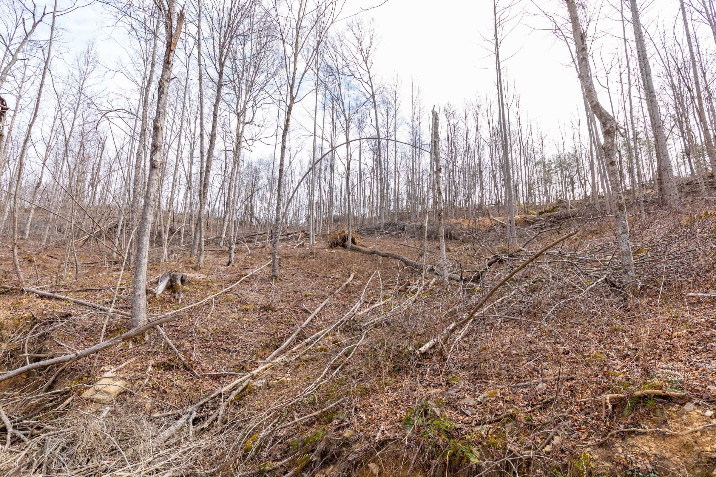 Creek Hollow Phase I Tract 7 photo 2