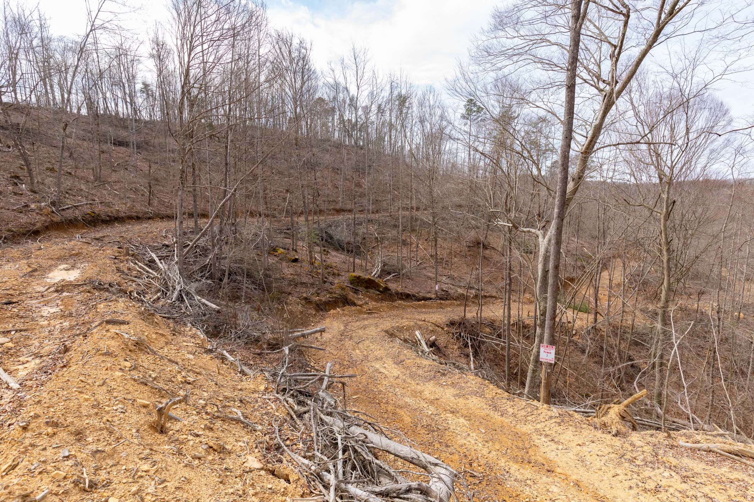 Creek Hollow Phase I Tract 7 photo 5