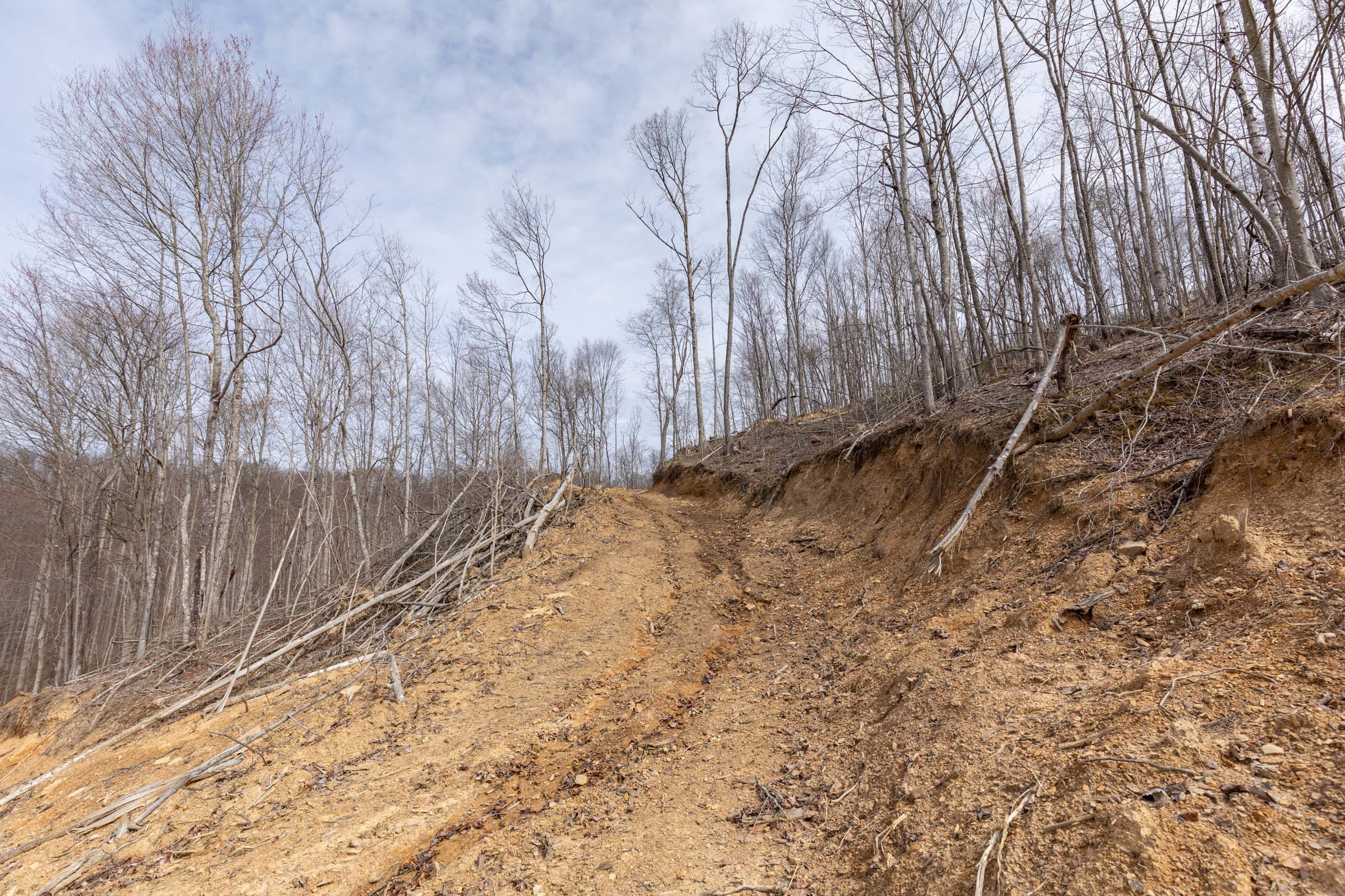 Creek Hollow Phase I Tract 7 photo 6