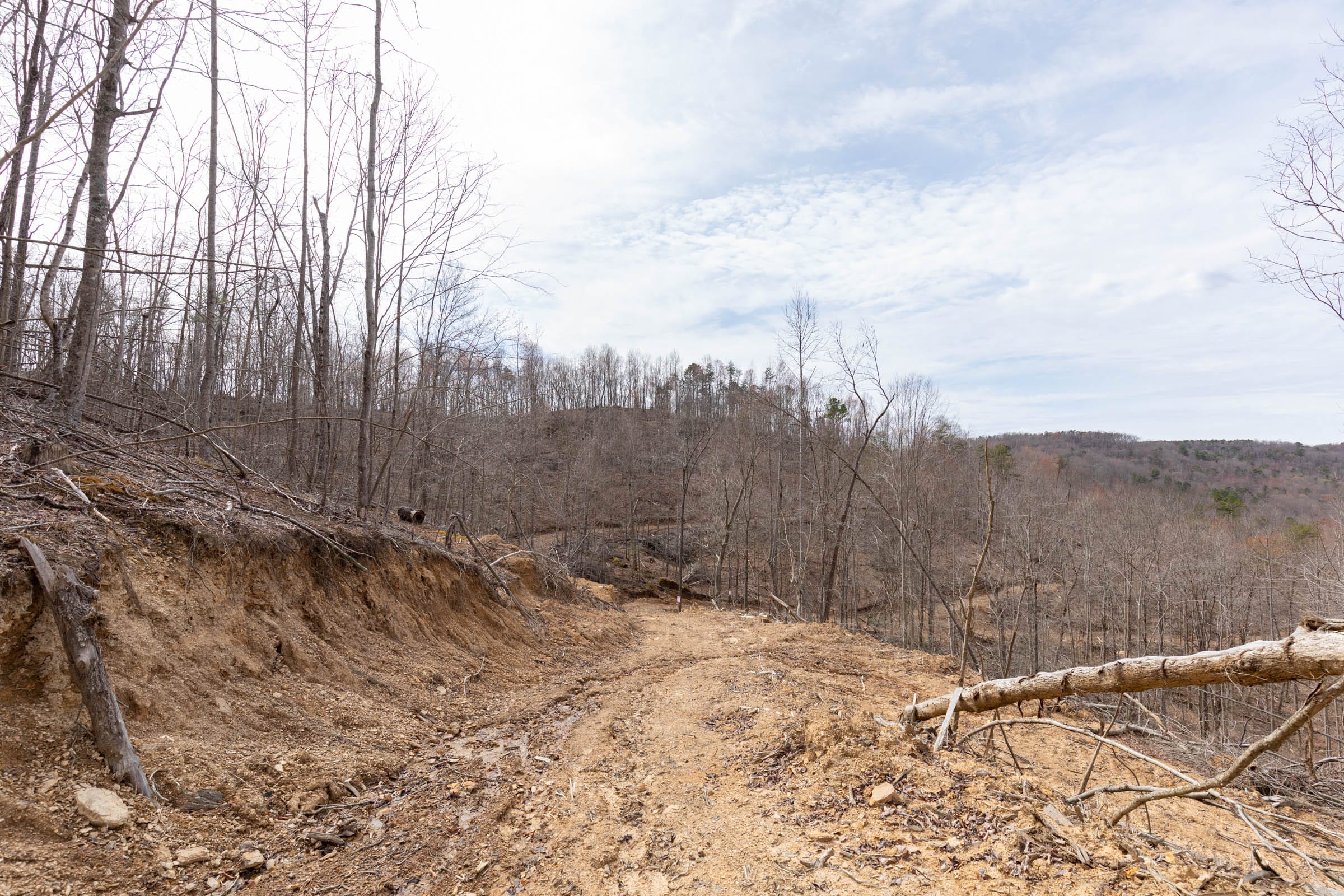 Creek Hollow Phase I Tract 7 photo 3