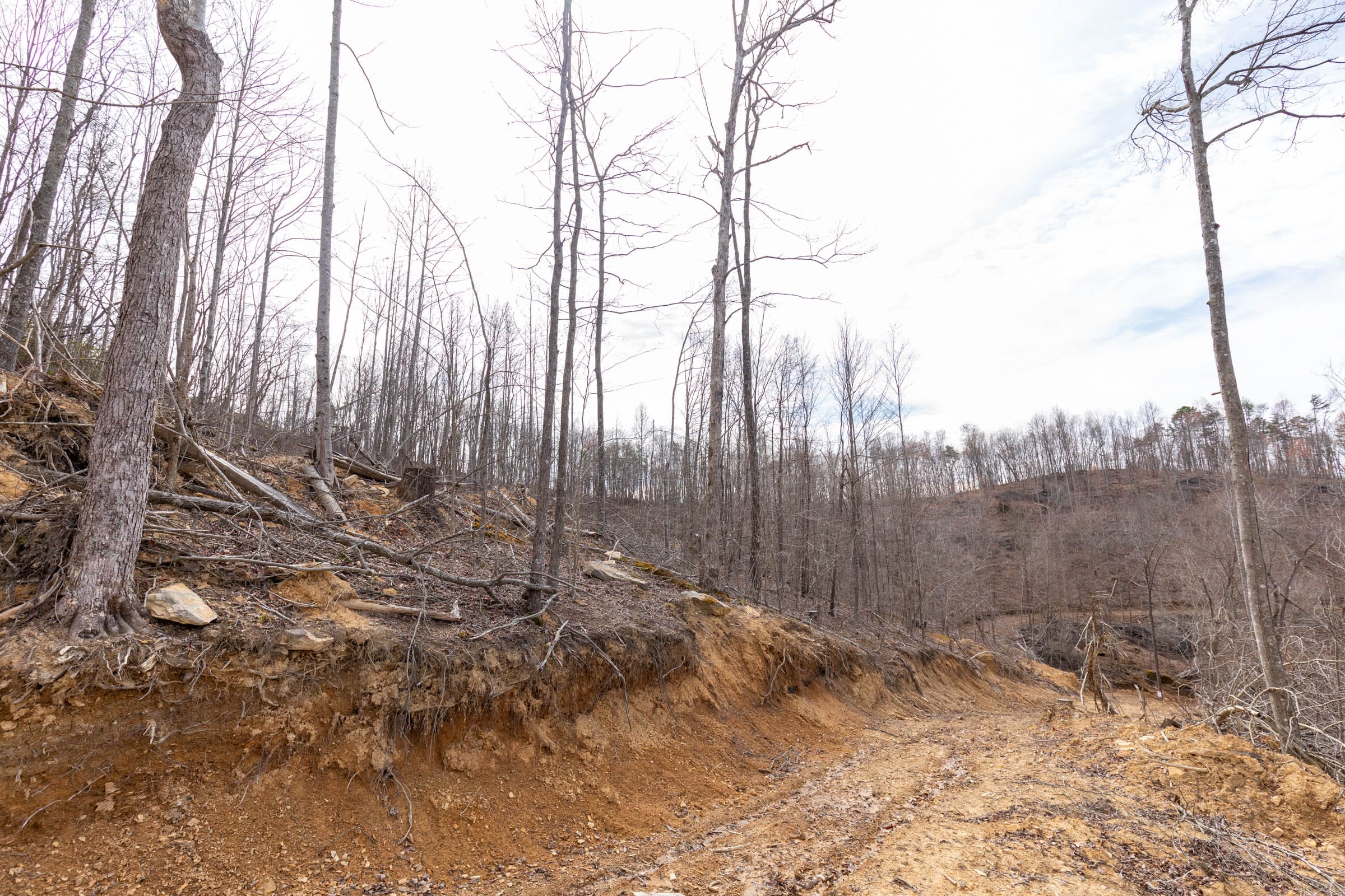 Creek Hollow Phase I Tract 7 photo 7