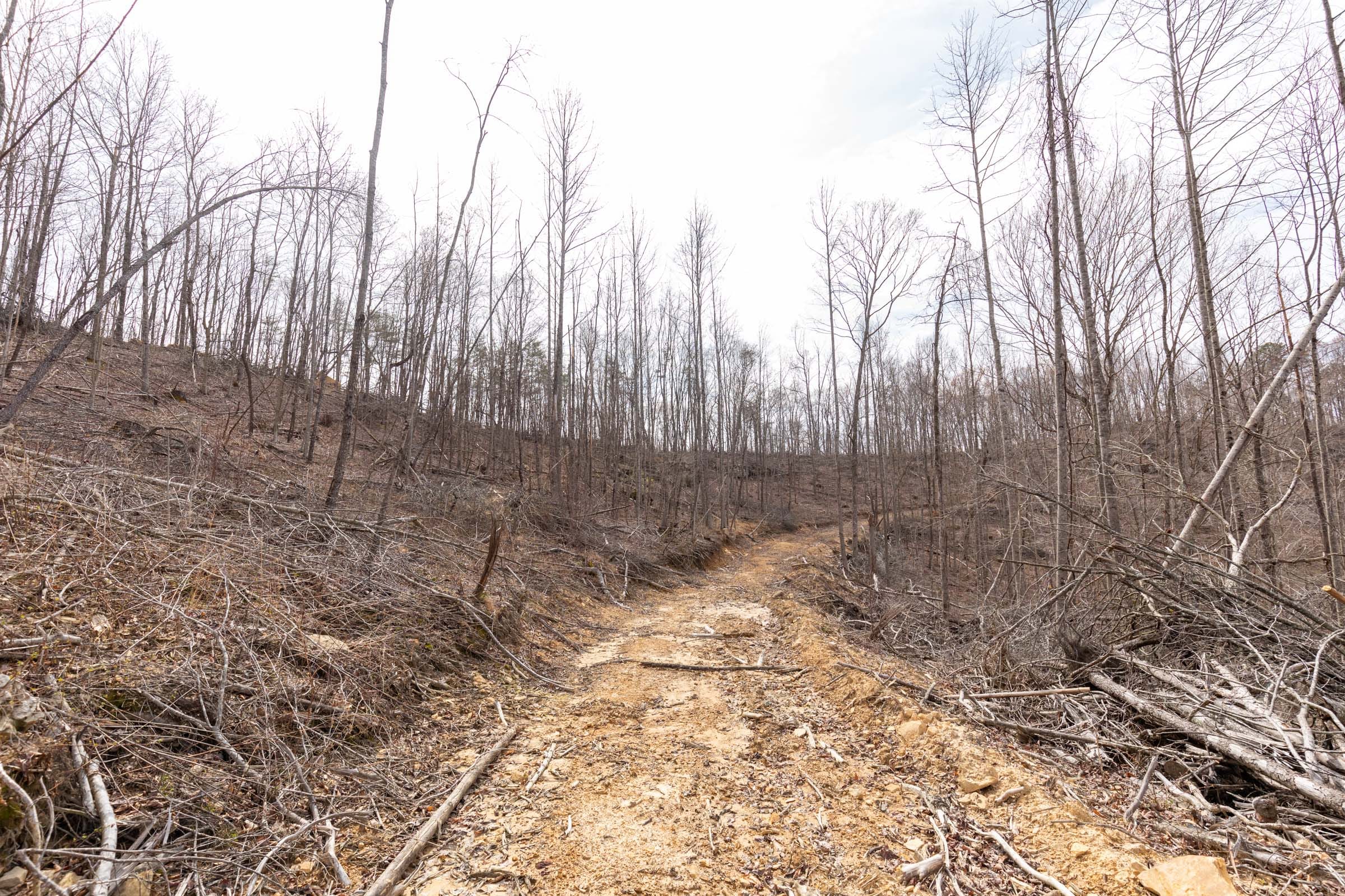 Creek Hollow Phase I Tract 7 photo 1