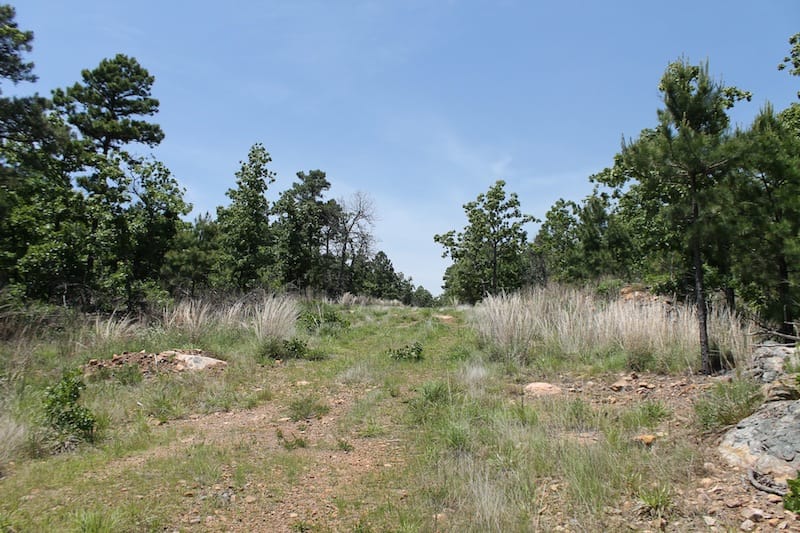 Indian Ridge – Phase II Tract 62 photo 1