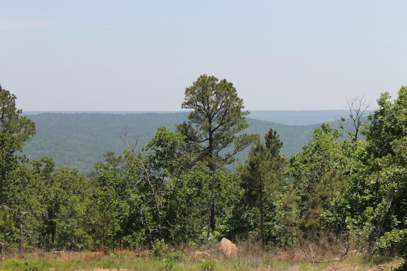 Indian Ridge – Phase II Tract 62 photo 2