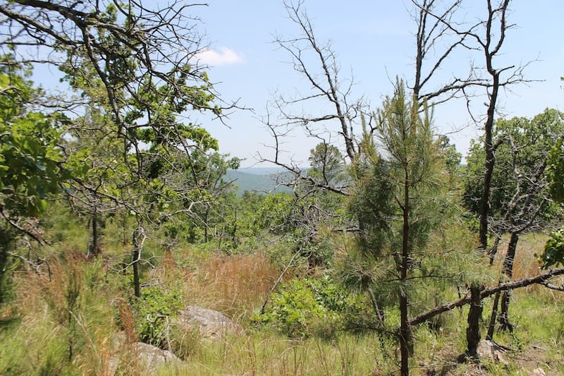 Indian Ridge – Phase II Tract 62 photo 3