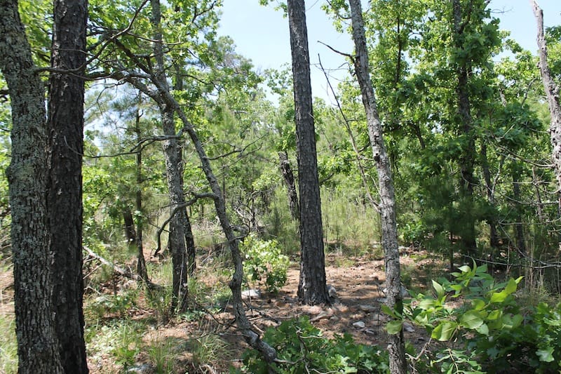 Indian Ridge – Phase II Tract 62 photo 5