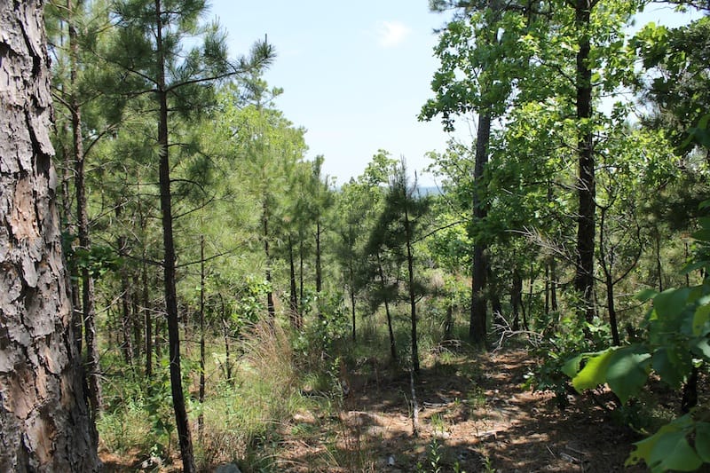 Indian Ridge – Phase II Tract 62 photo 7