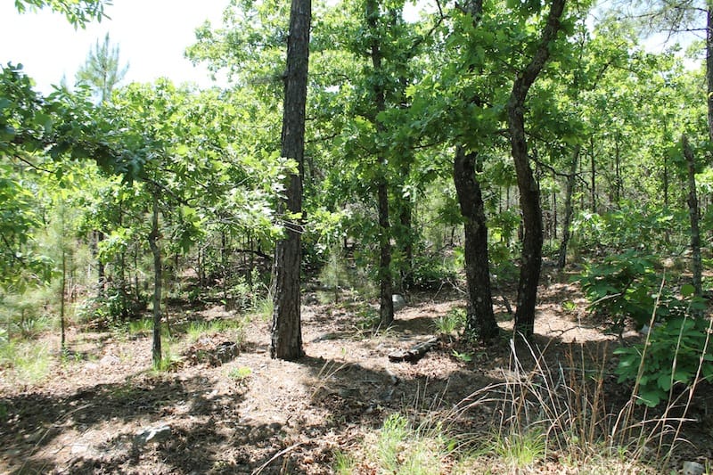 Indian Ridge – Phase II Tract 62 photo 9