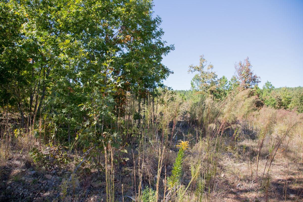Stone Creek Phase I Tract 104 photo 2