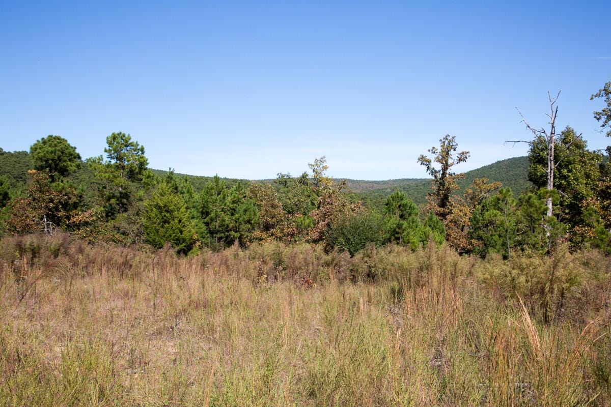 Stone Creek Phase I Tract 104 photo 4