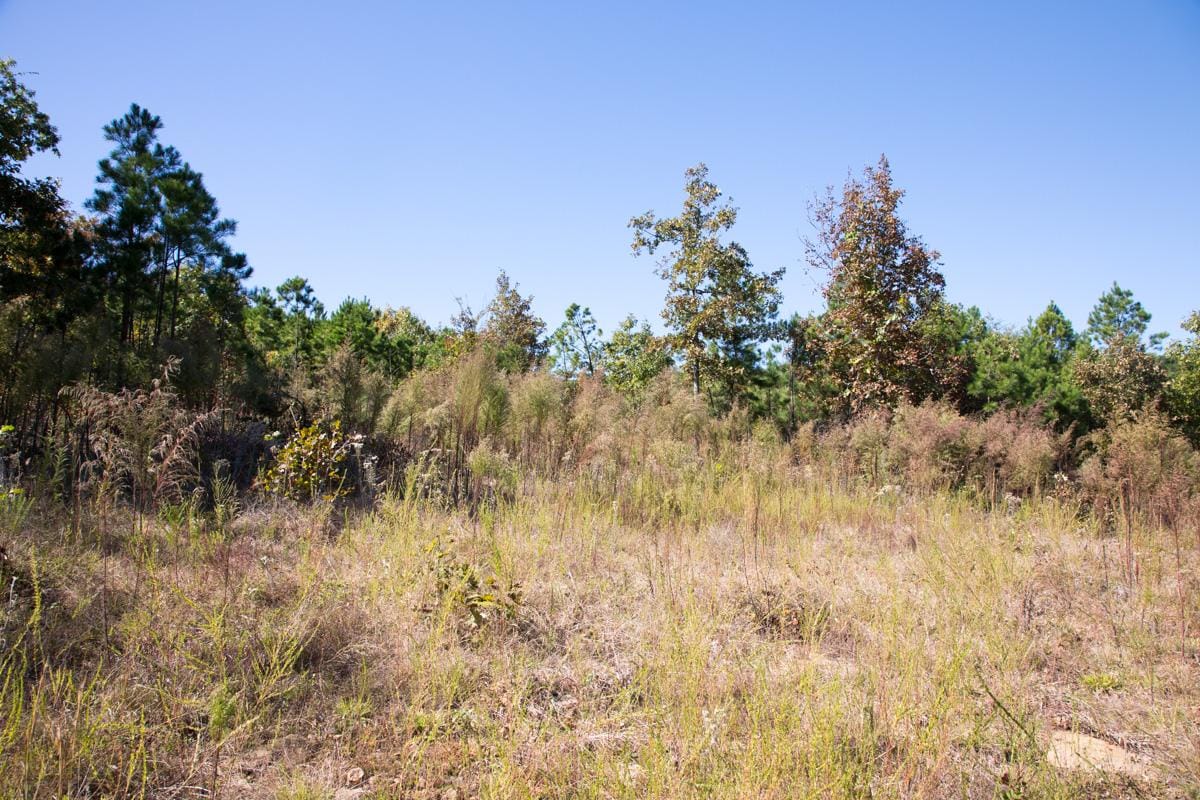 Stone Creek Phase I Tract 104 photo 5