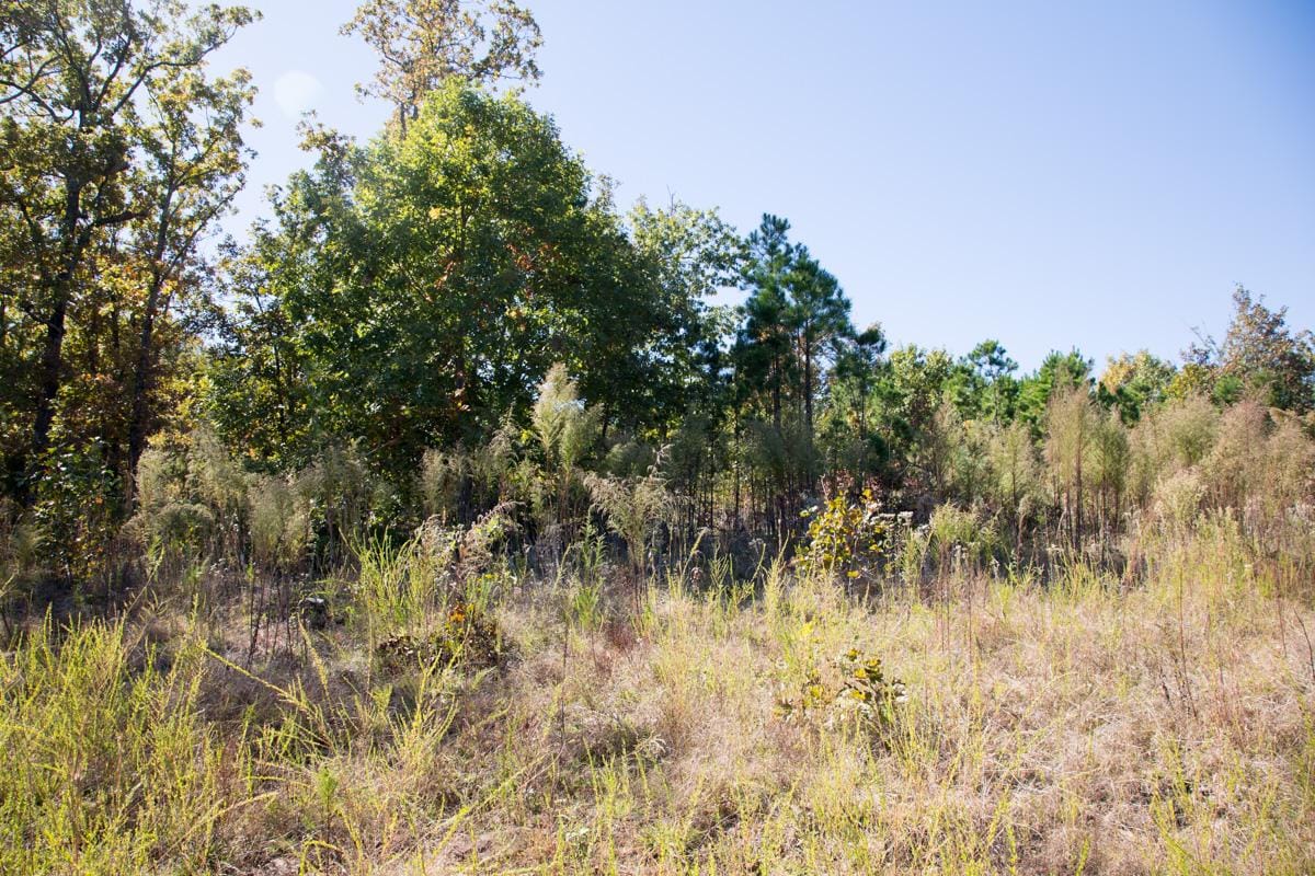 Stone Creek Phase I Tract 104 photo 6