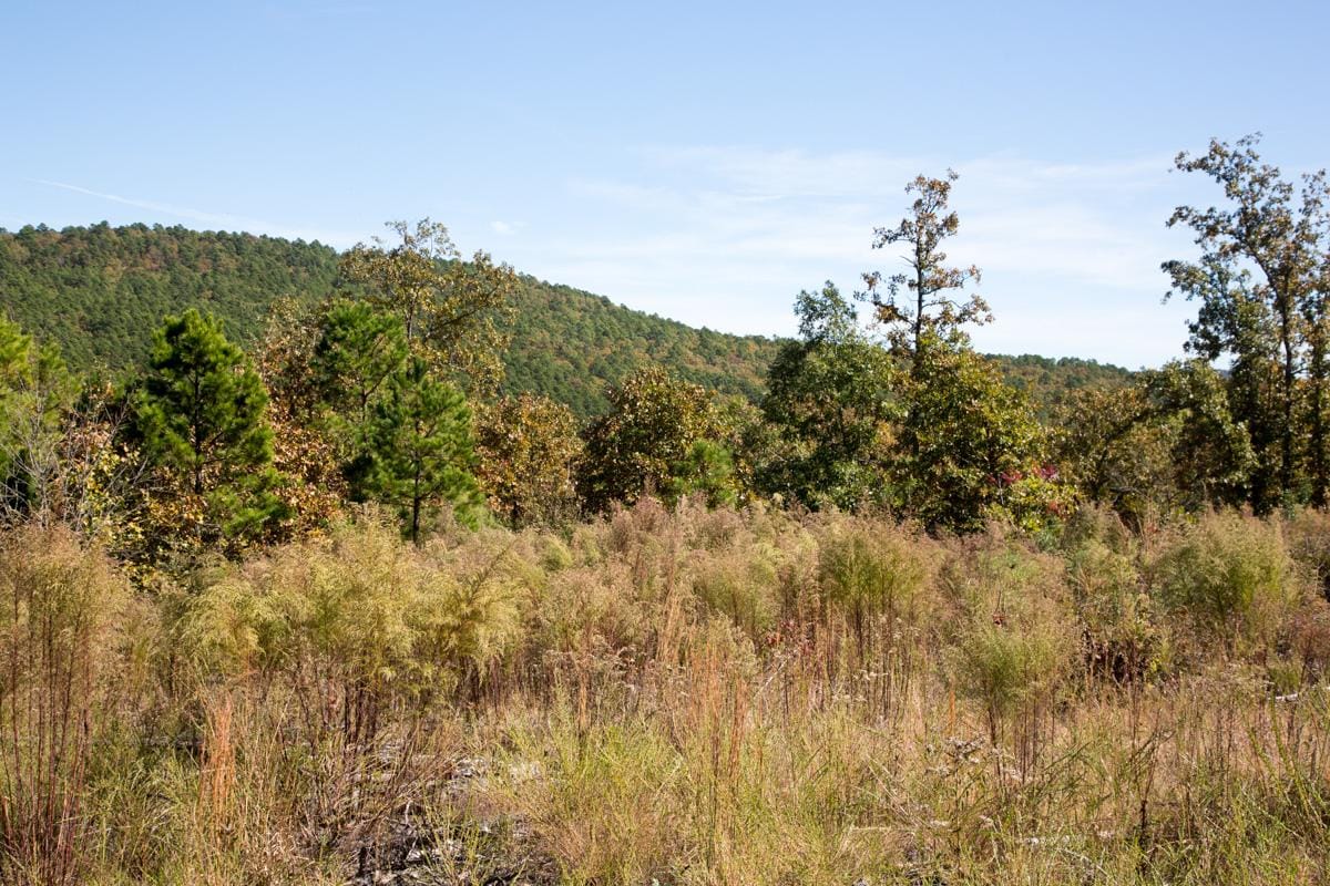 Stone Creek Phase I Tract 104 photo 9