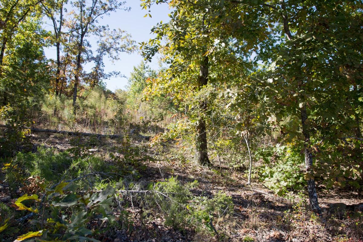 Stone Creek Phase I Tract 104 photo 11