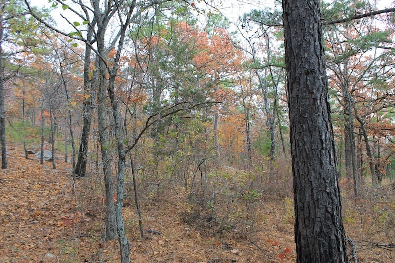 Indian Ridge – Phase I Tract 17 photo 4