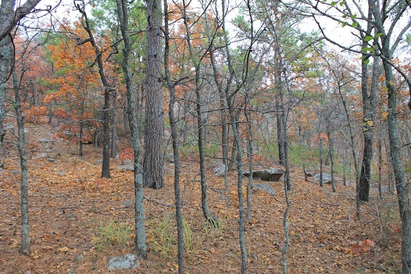 Indian Ridge – Phase I Tract 17 photo 5