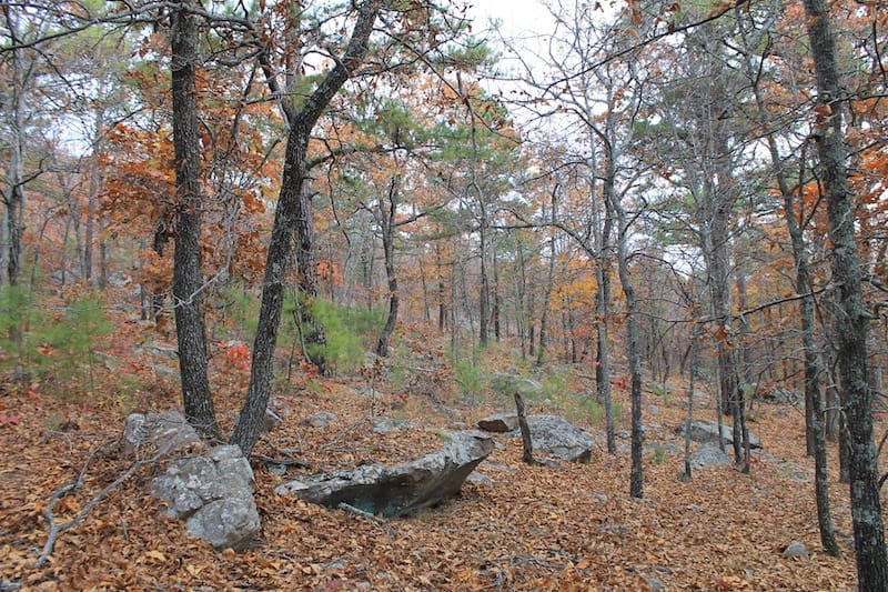 Indian Ridge – Phase I Tract 17 photo 6