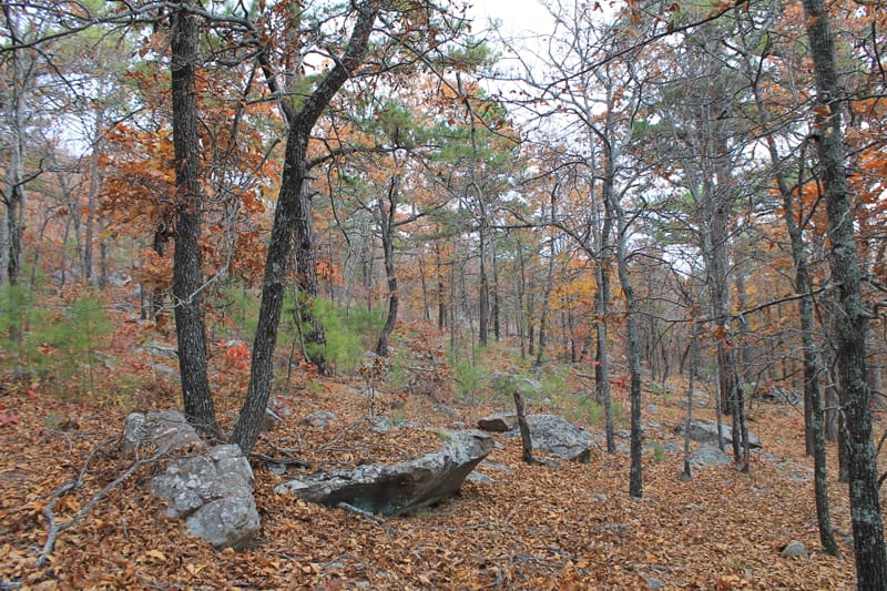 Indian Ridge – Phase I Tract 17 photo 7