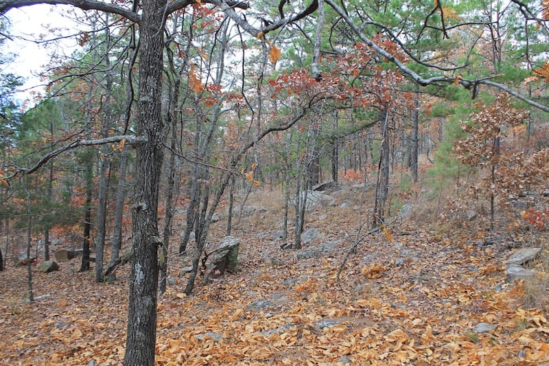 Indian Ridge – Phase I Tract 17 photo 8