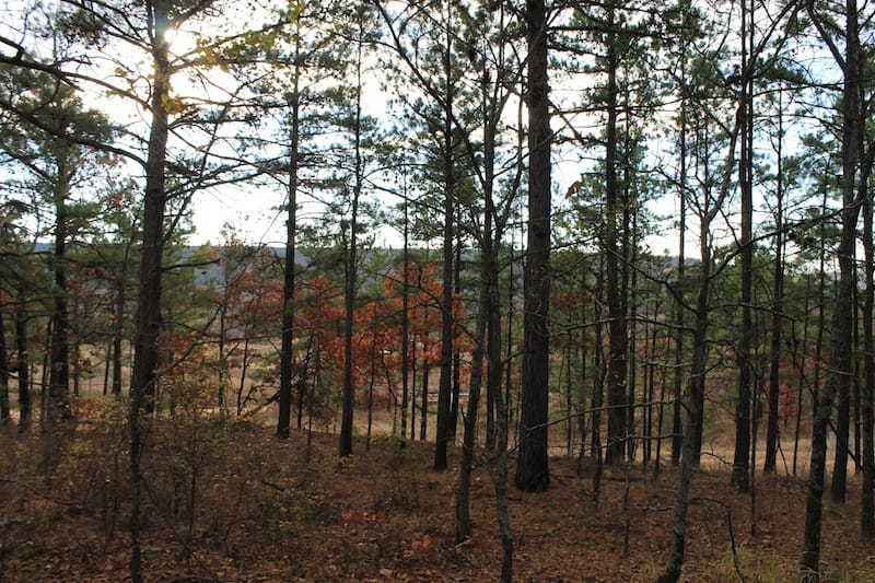 Indian Ridge – Phase I Tract 17 photo 9