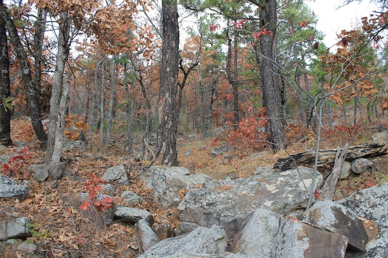 Indian Ridge – Phase I Tract 17 photo 10