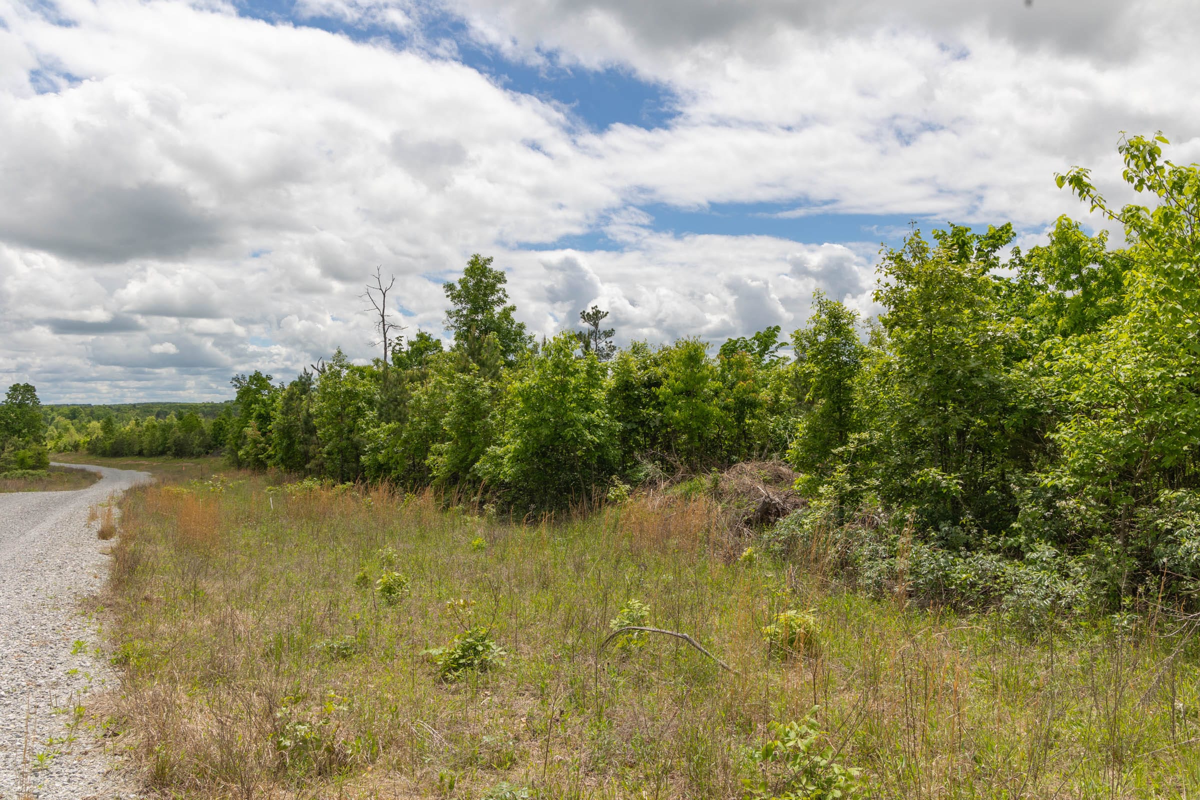 Sleepy Hollow Phase II Tract 81 photo 6