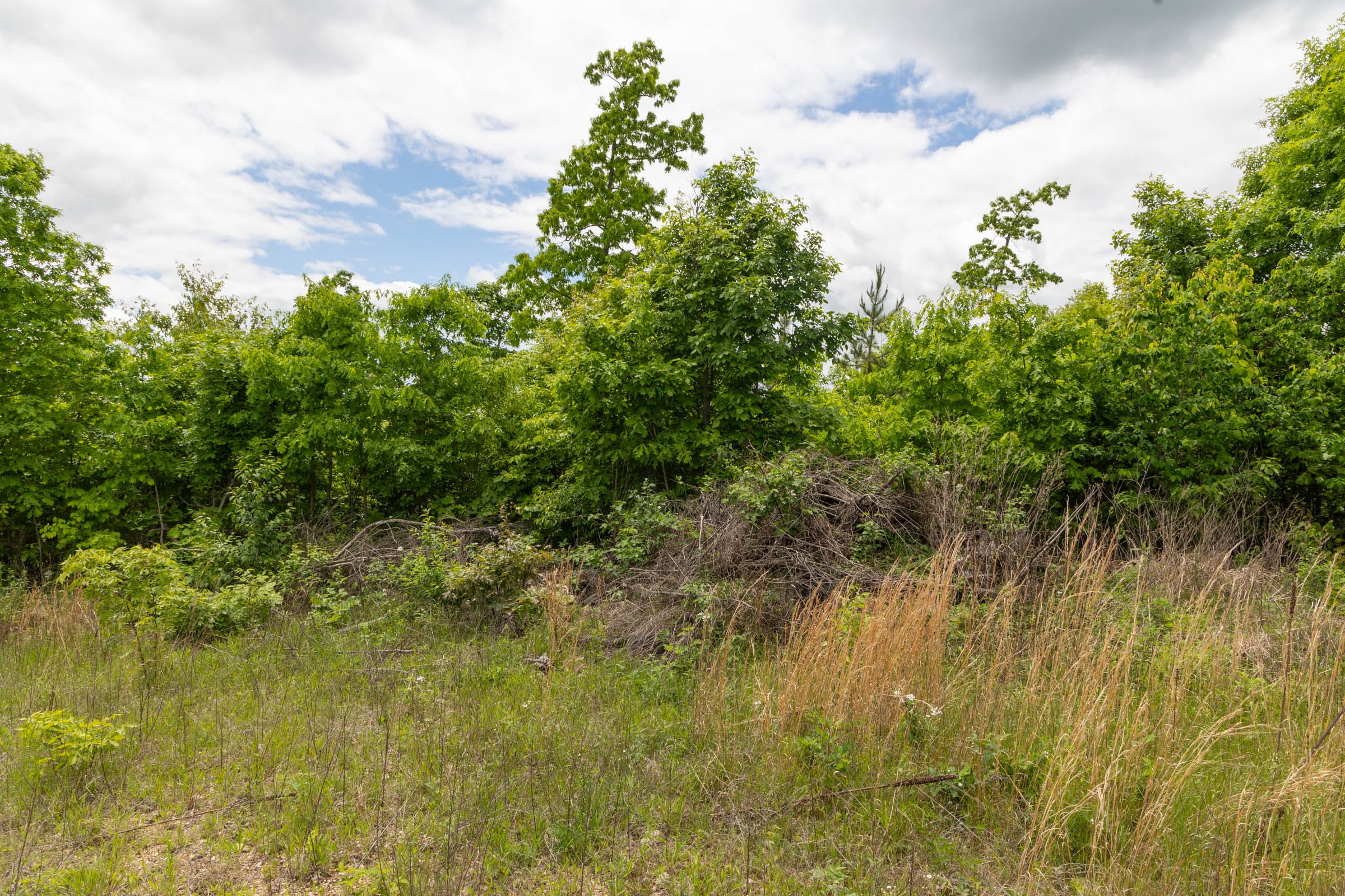 Sleepy Hollow Phase II Tract 81 photo 5