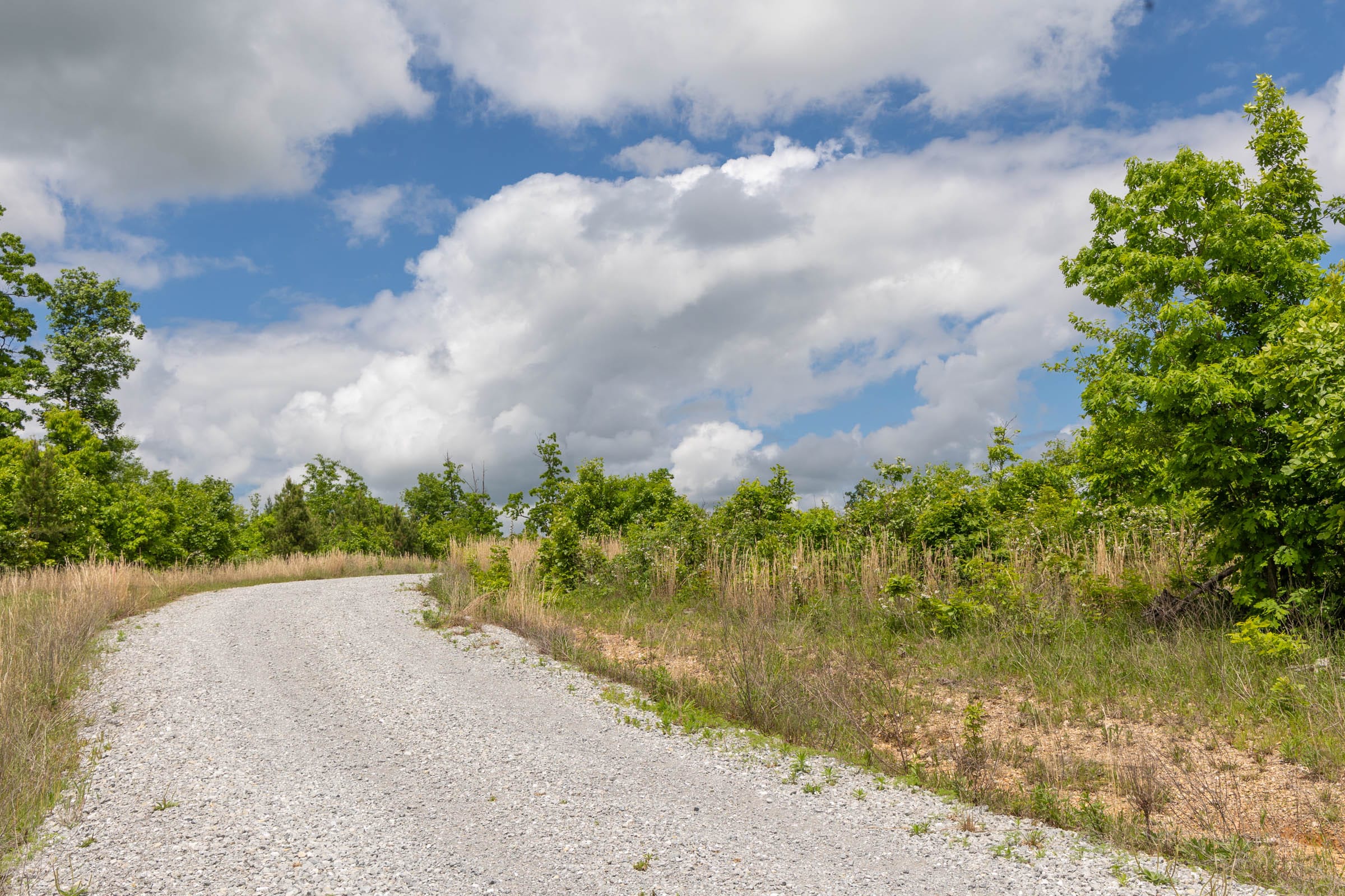 Sleepy Hollow Phase II Tract 81 photo 1