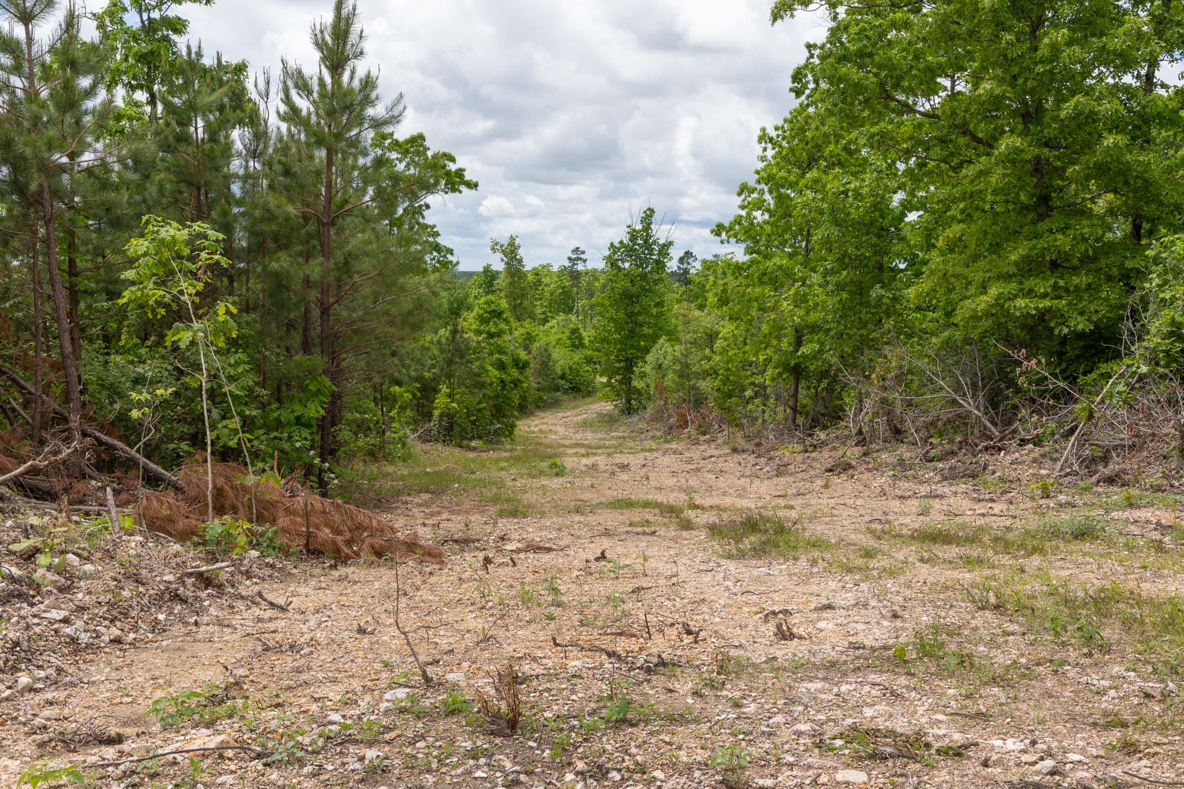 Sleepy Hollow Phase II Tract 81 photo 3