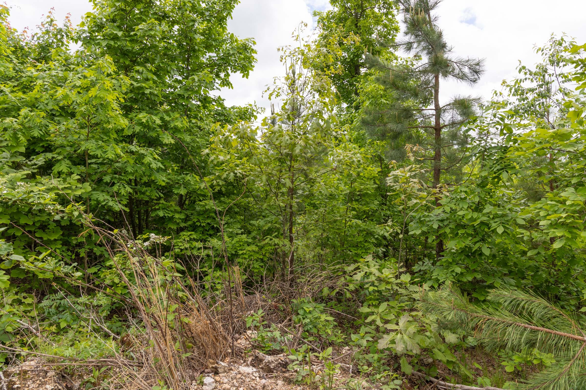 Sleepy Hollow Phase II Tract 81 photo 2