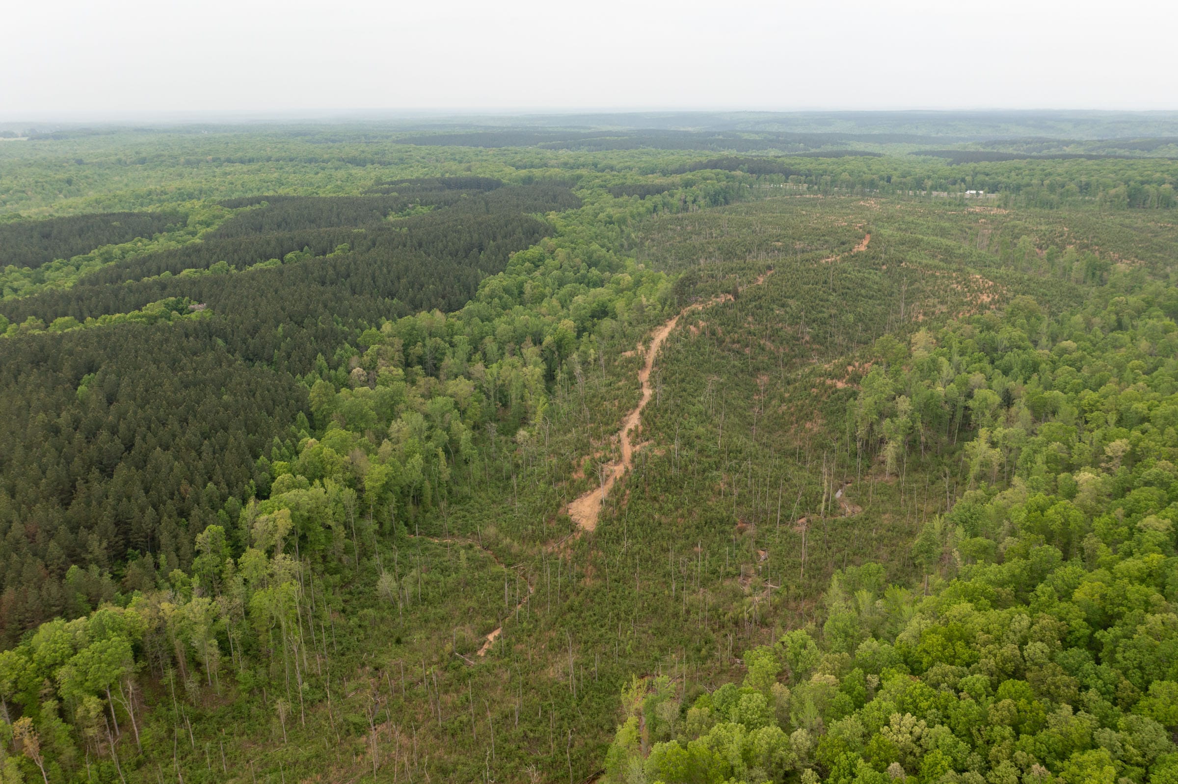Red Barn Ranch Tract 43 photo 11