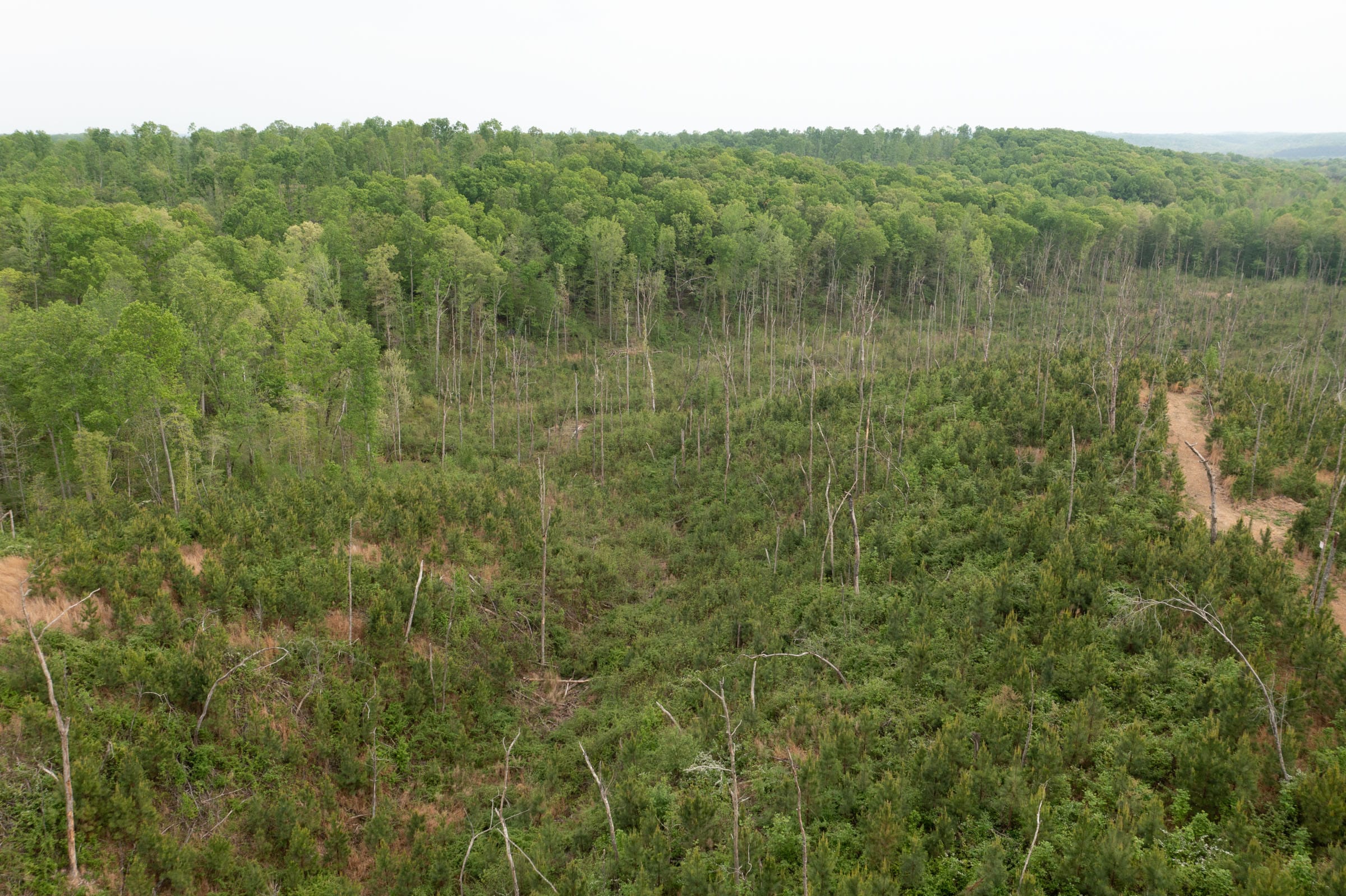 Red Barn Ranch Tract 43 photo 10