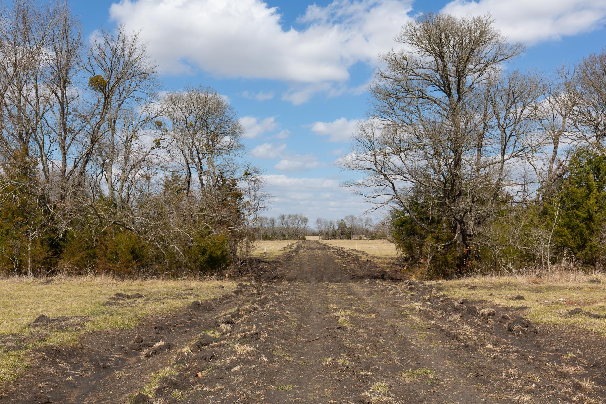 Wishing Star Ranch Tract 88 photo 3