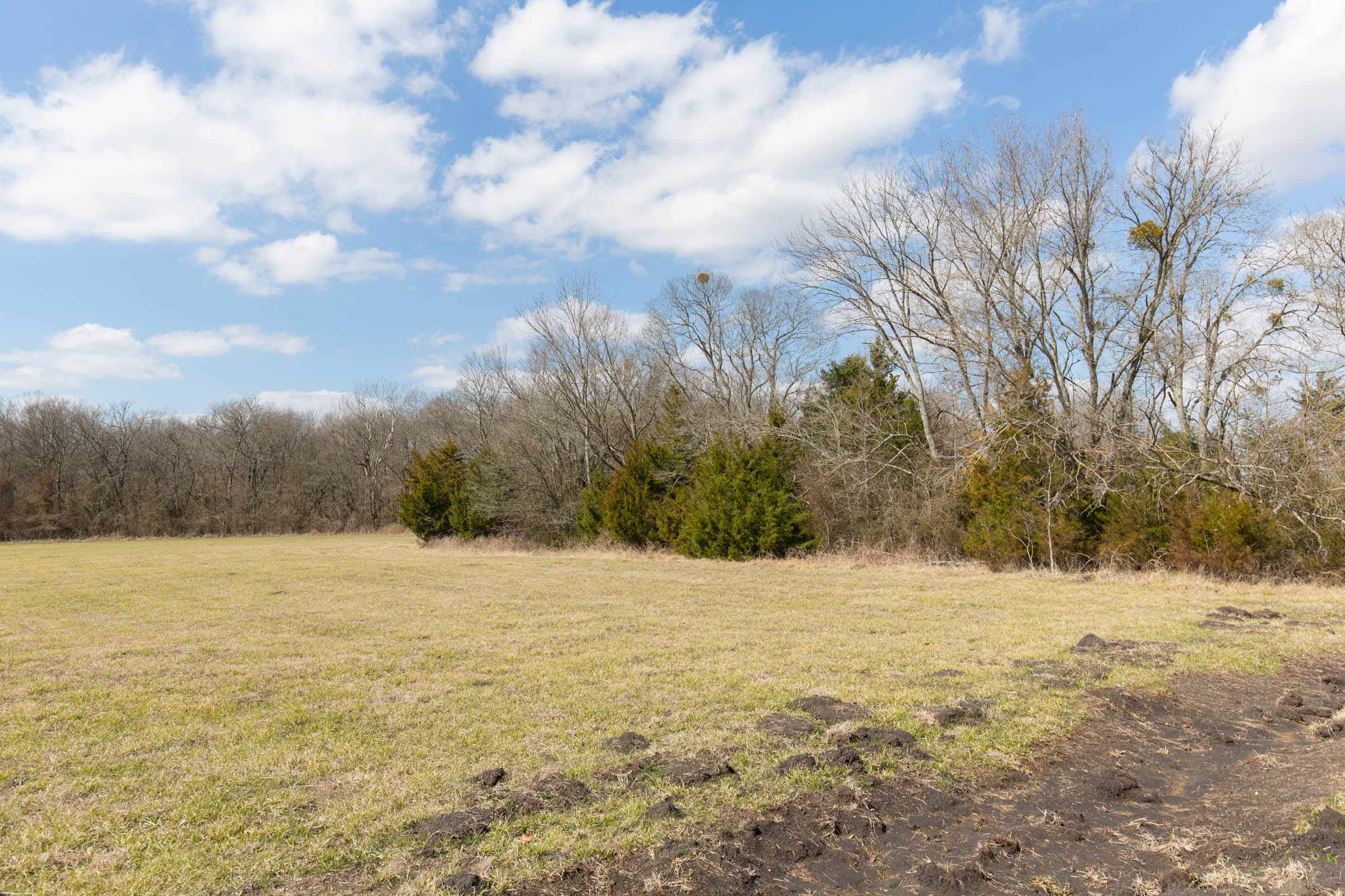 Wishing Star Ranch Tract 88 photo 4