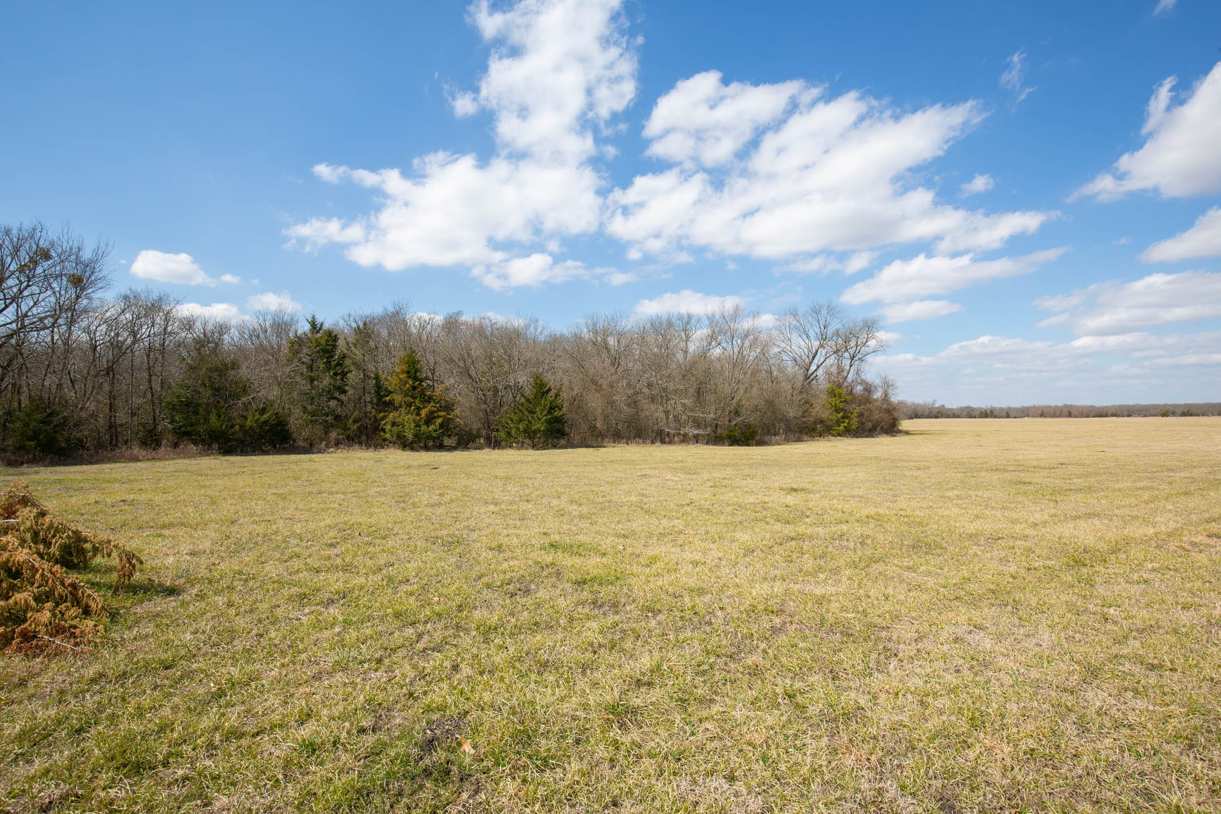 Wishing Star Ranch Tract 88 photo 5