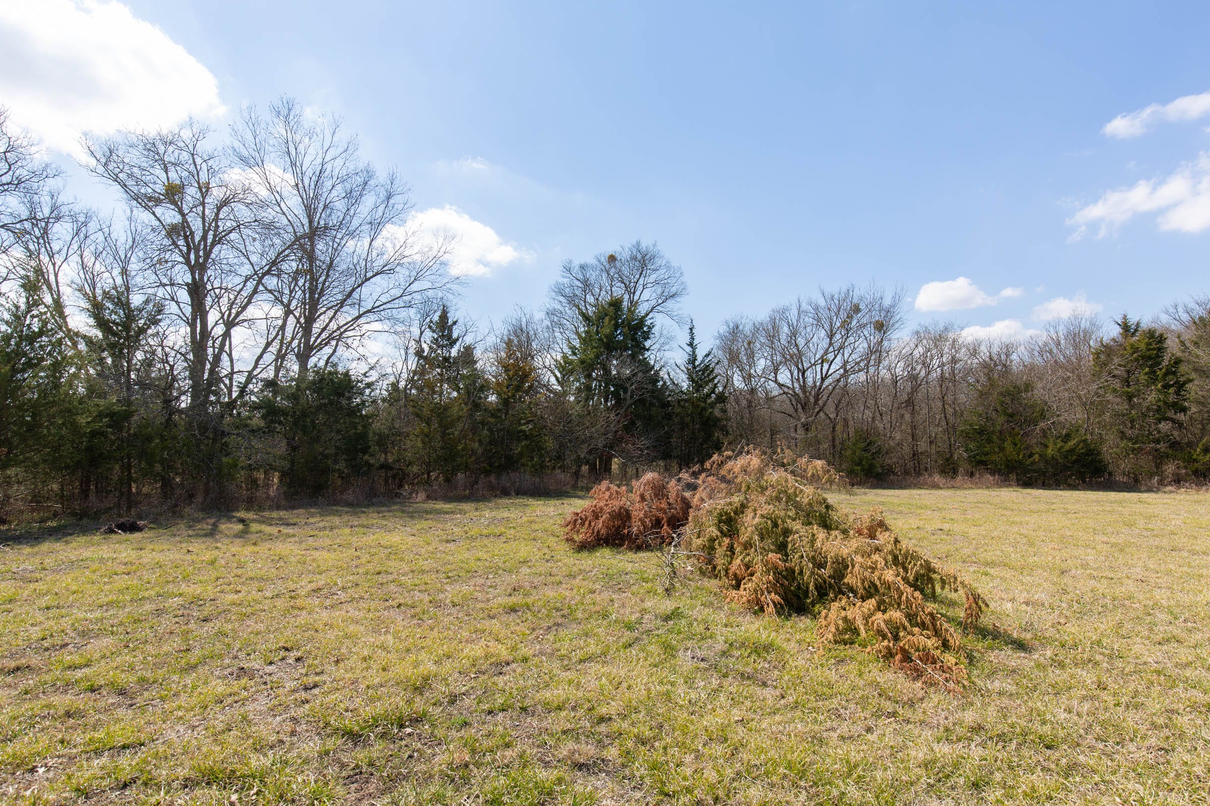 Wishing Star Ranch Tract 88 photo 6