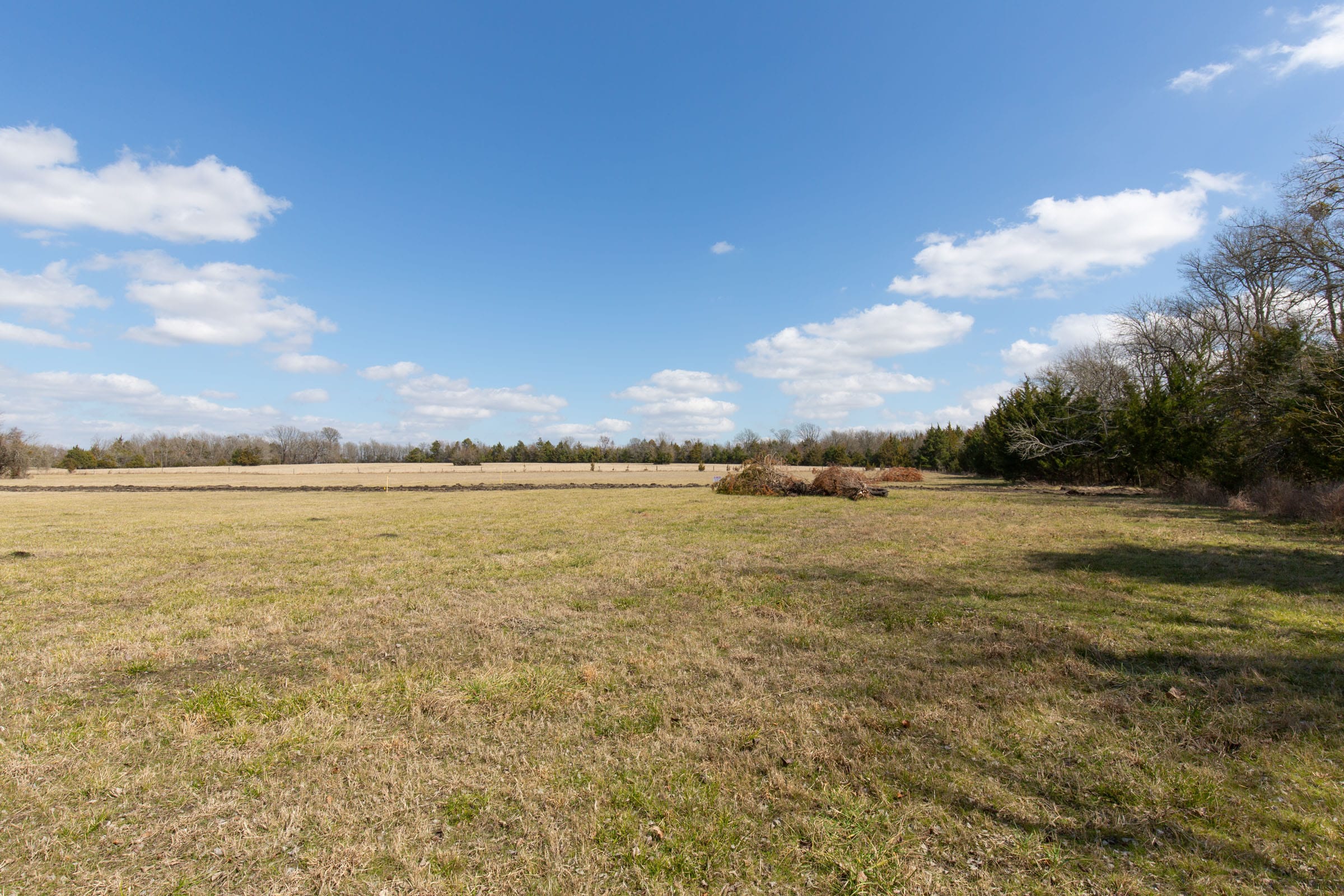 Wishing Star Ranch Tract 88 photo 8