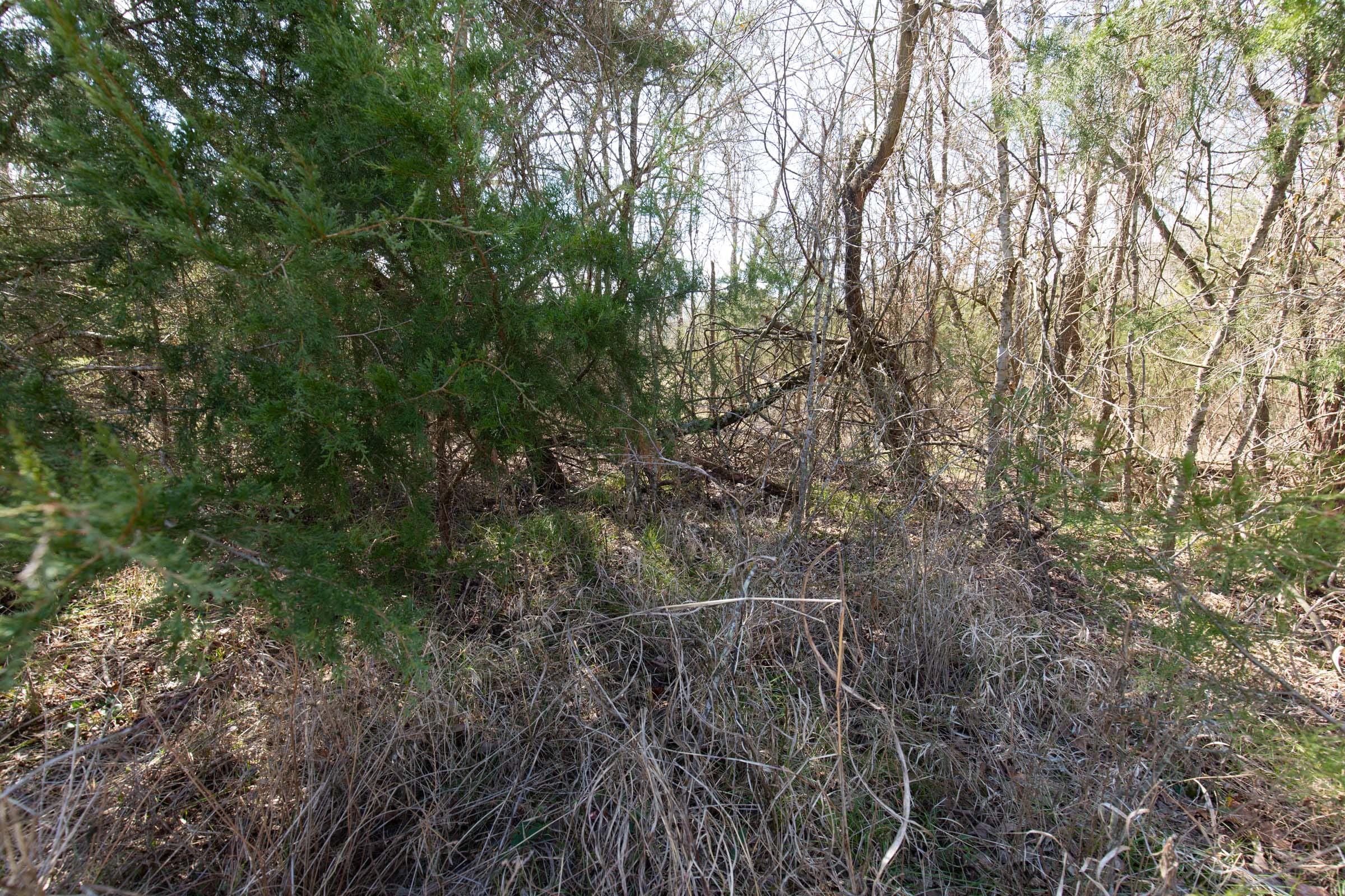 Wishing Star Ranch Tract 88 photo 10