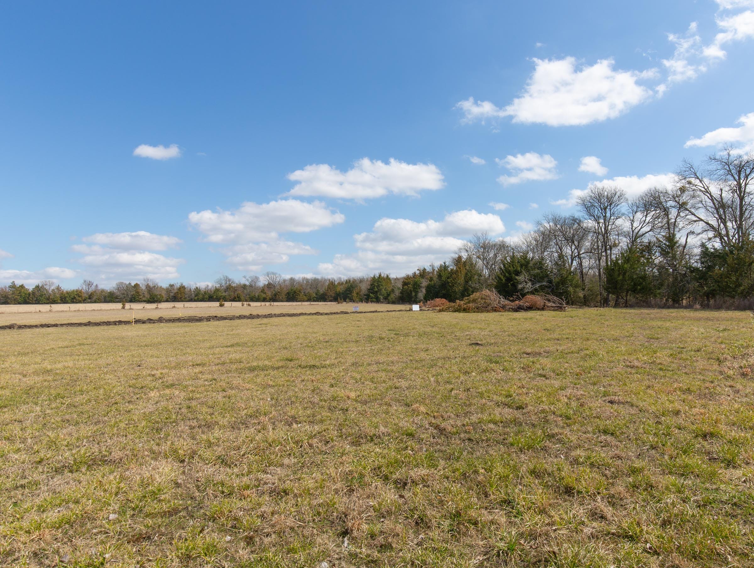 Wishing Star Ranch Tract 88 photo 11